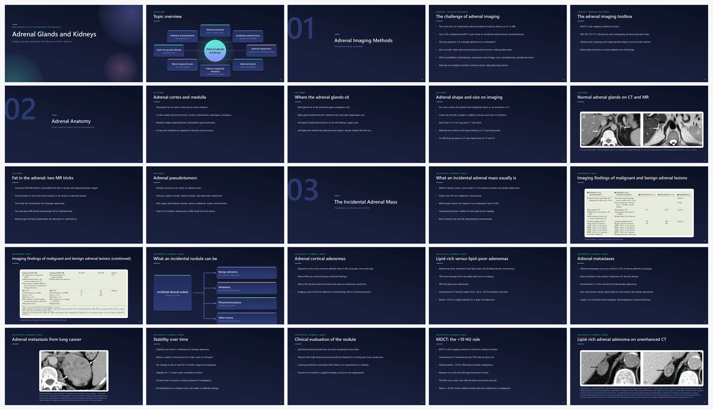 Preview of the first 25 slides of Adrenal Glands and Kidneys