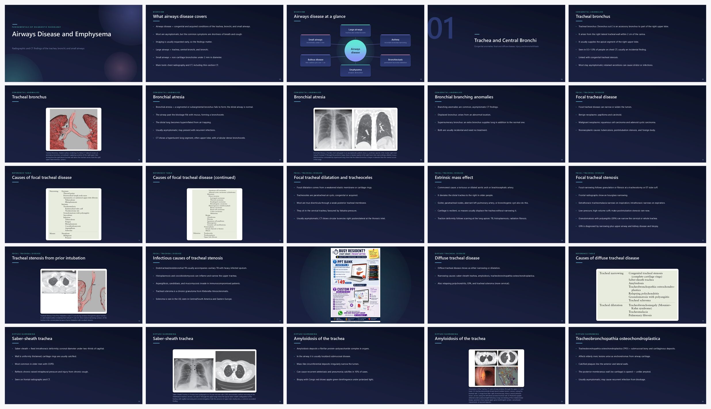Preview of the first 25 slides of Airways Disease and Emphysema