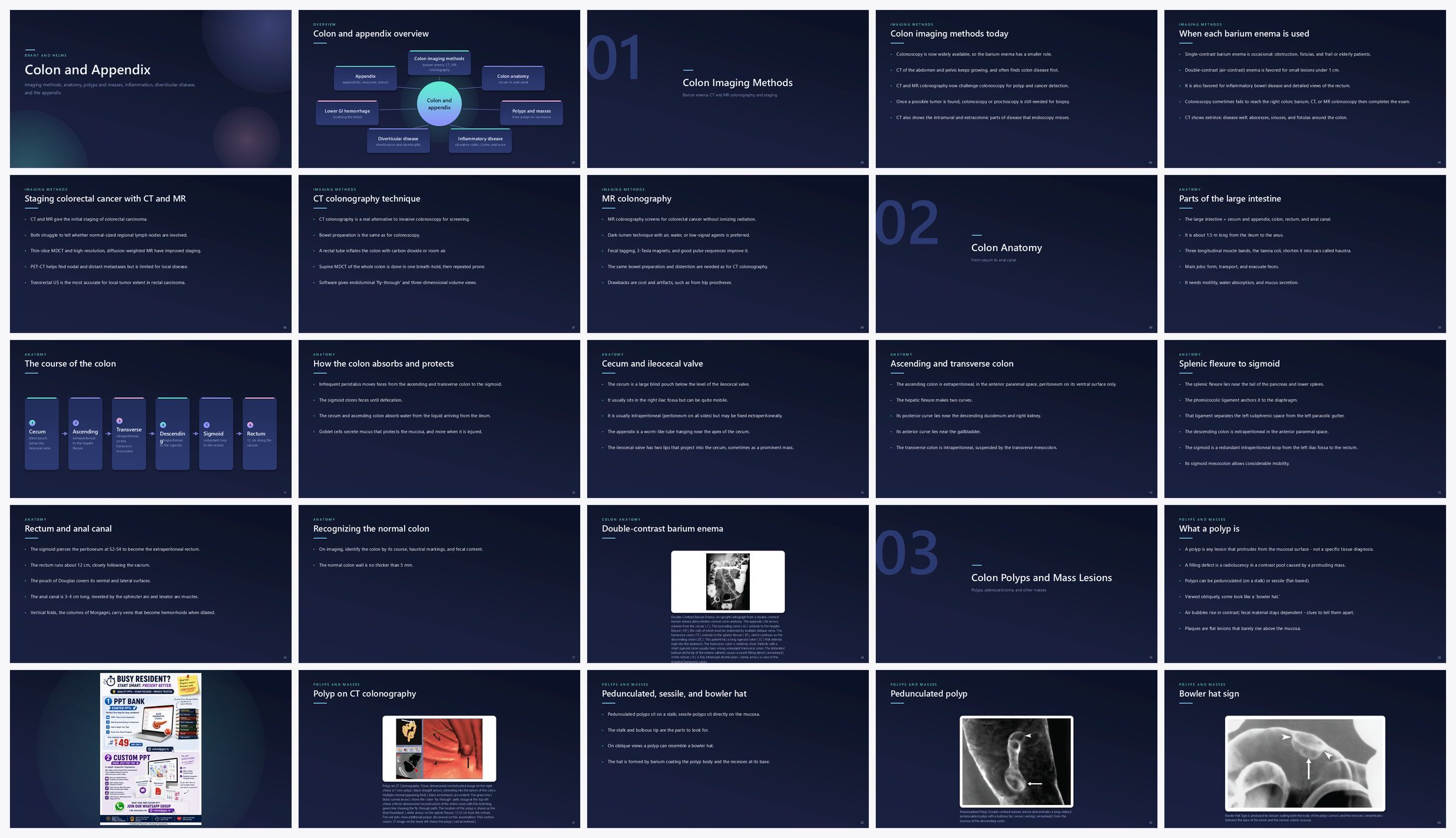 Preview of the first 25 slides of Colon and Appendix