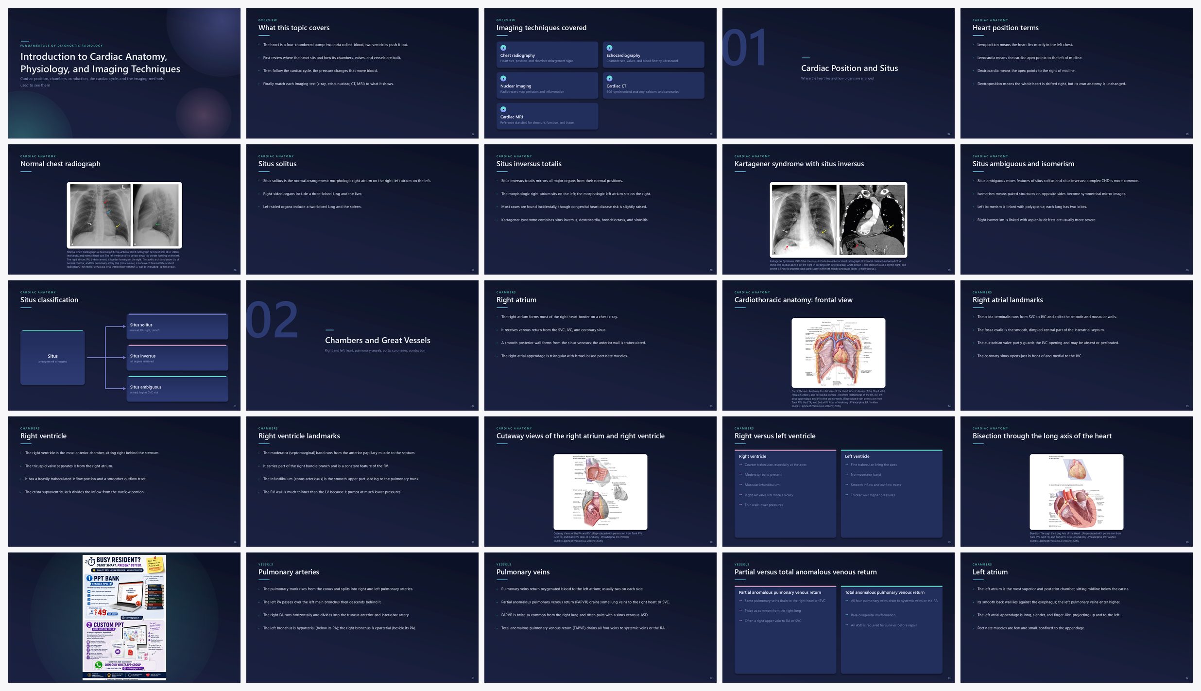 Preview of the first 25 slides of Introduction to Cardiac Anatomy, Physiology, and Imaging Techniques