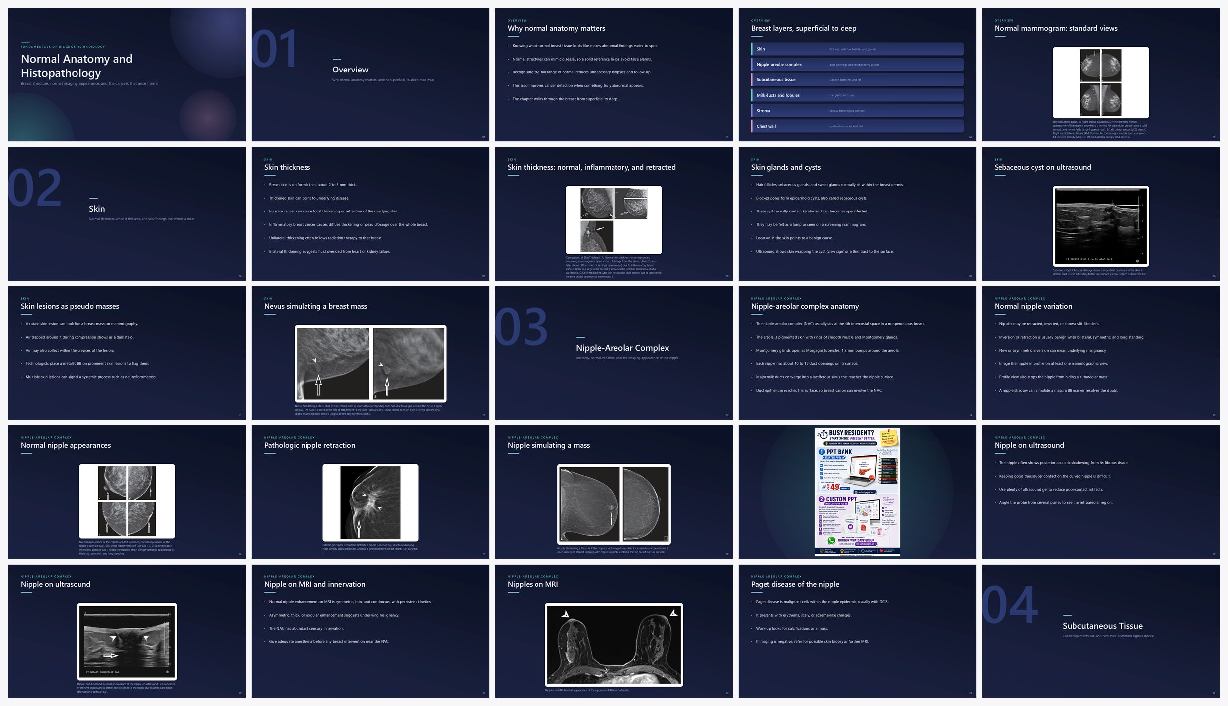 Preview of the first 25 slides of Normal Anatomy and Histopathology