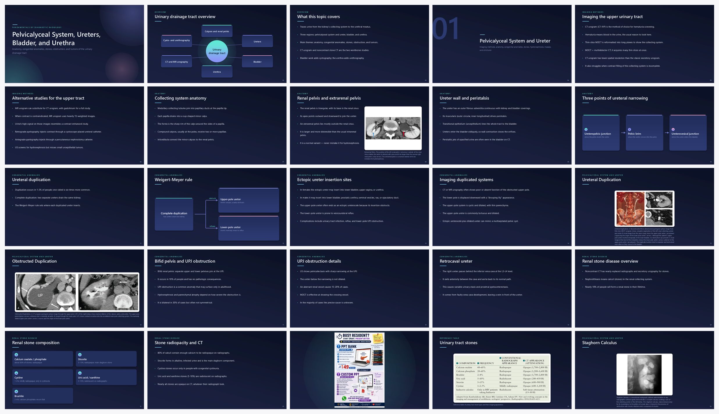 Preview of the first 25 slides of Pelvicalyceal System, Ureters, Bladder, and Urethra