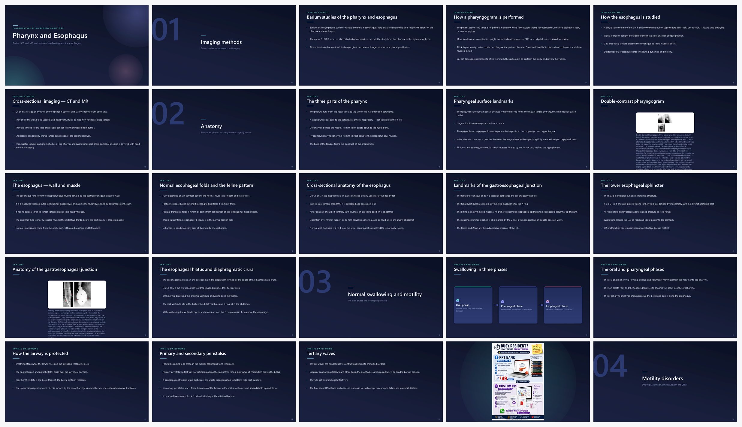 Preview of the first 25 slides of Pharynx and Esophagus