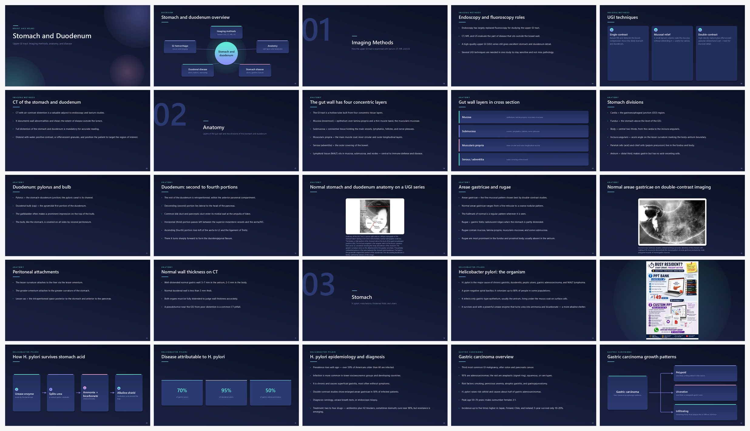 Preview of the first 25 slides of Stomach and Duodenum