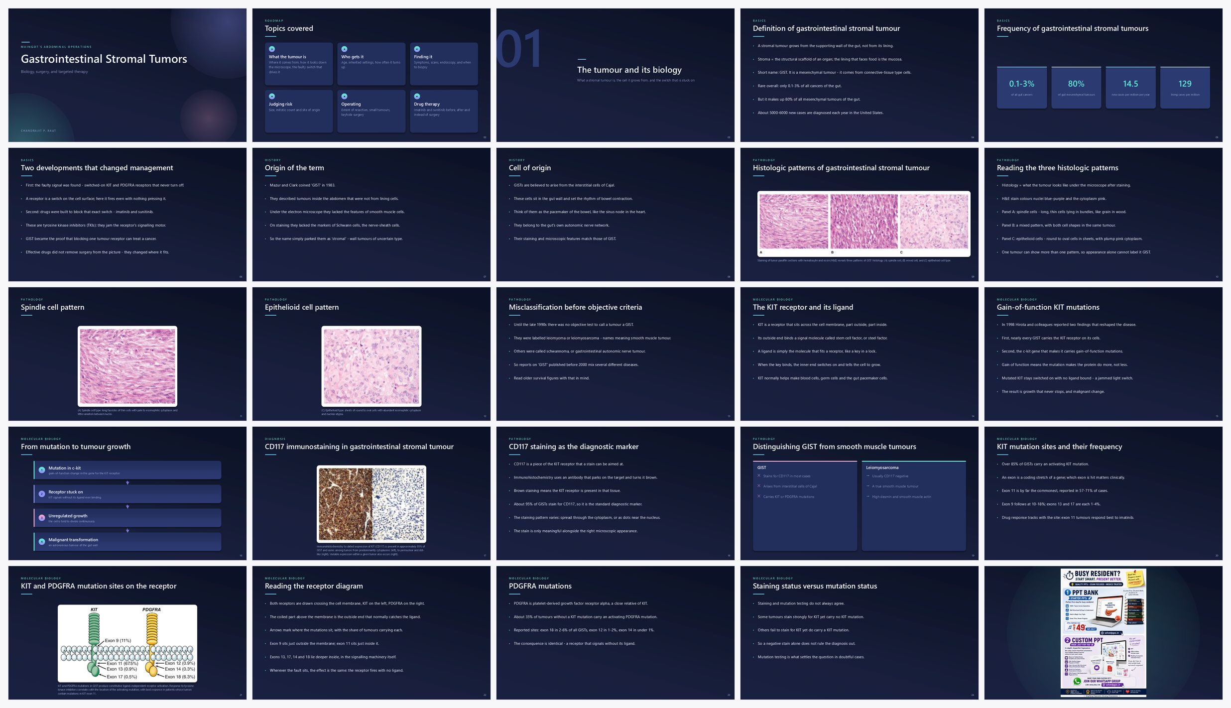 Preview of the first 25 slides of Gastrointestinal Stromal Tumors