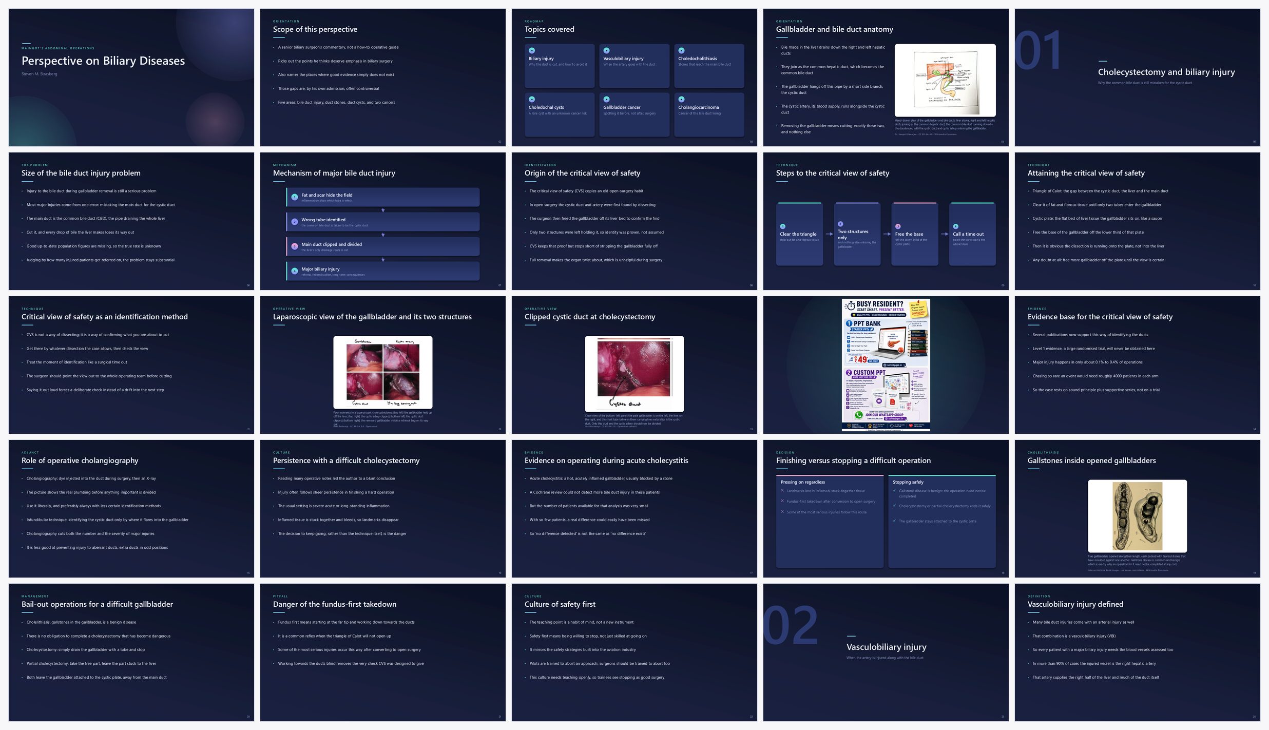 Preview of the first 25 slides of Perspective on Biliary Diseases (B)