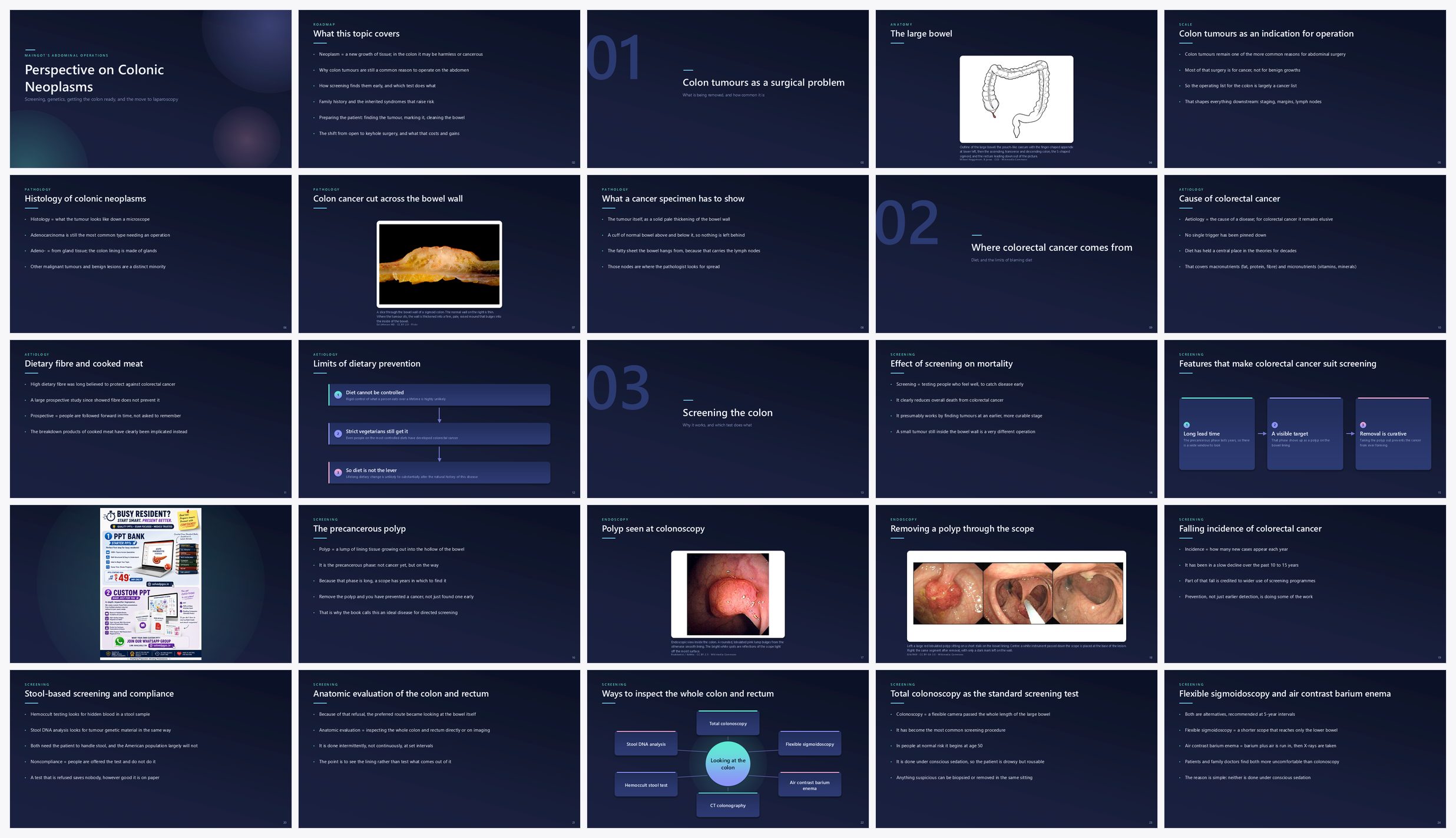 Preview of the first 25 slides of Perspective on Colonic Neoplasms (B)