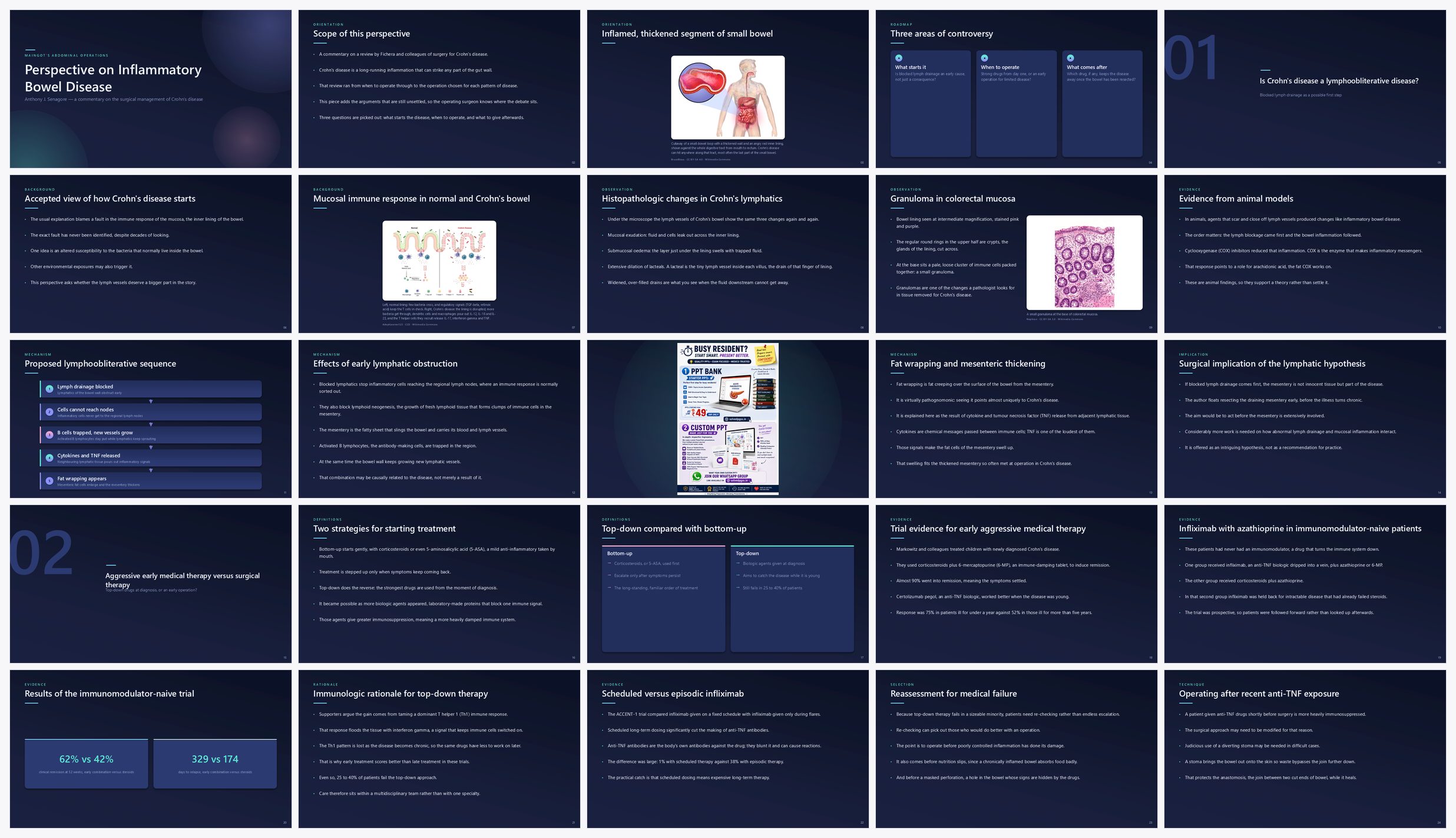 Preview of the first 25 slides of Perspective on Inflammatory Bowel Disease (A)