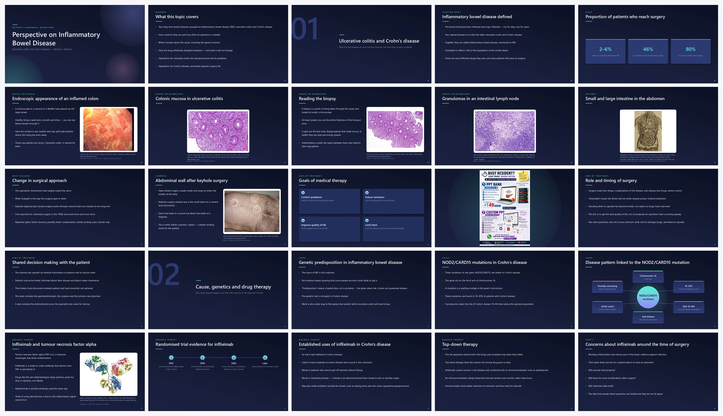 Preview of the first 25 slides of Perspective on Inflammatory Bowel Disease (B)