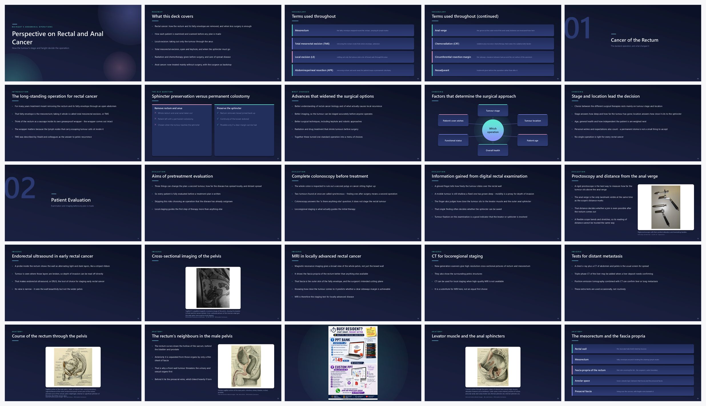 Preview of the first 25 slides of Perspective on Rectal Cancer (A)