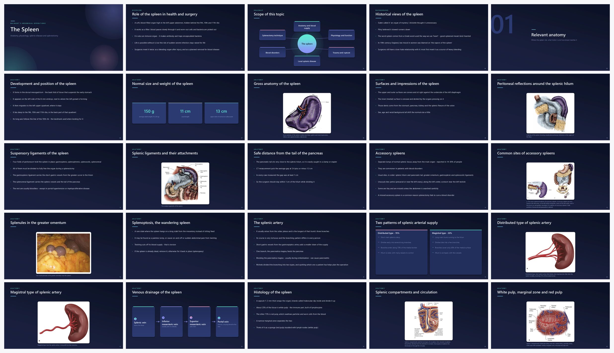 Preview of the first 25 slides of The Spleen