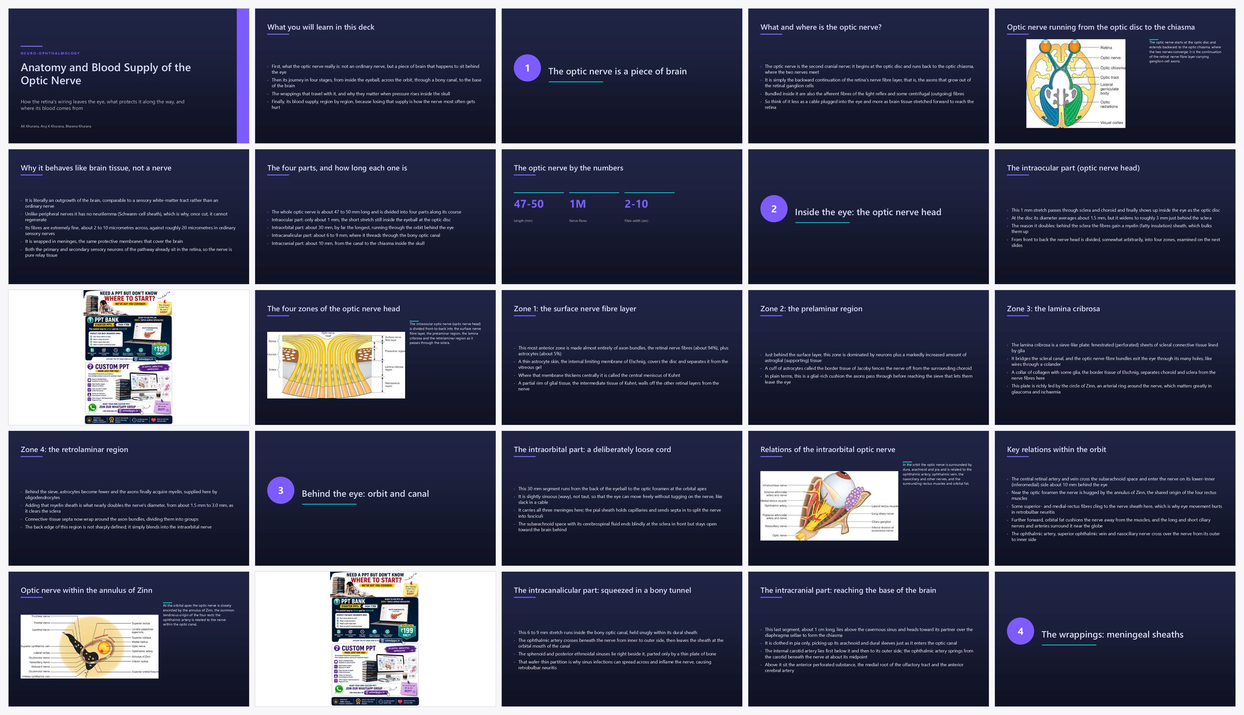 Preview of the first 25 slides of Anatomy and Blood Supply of Optic Nerve