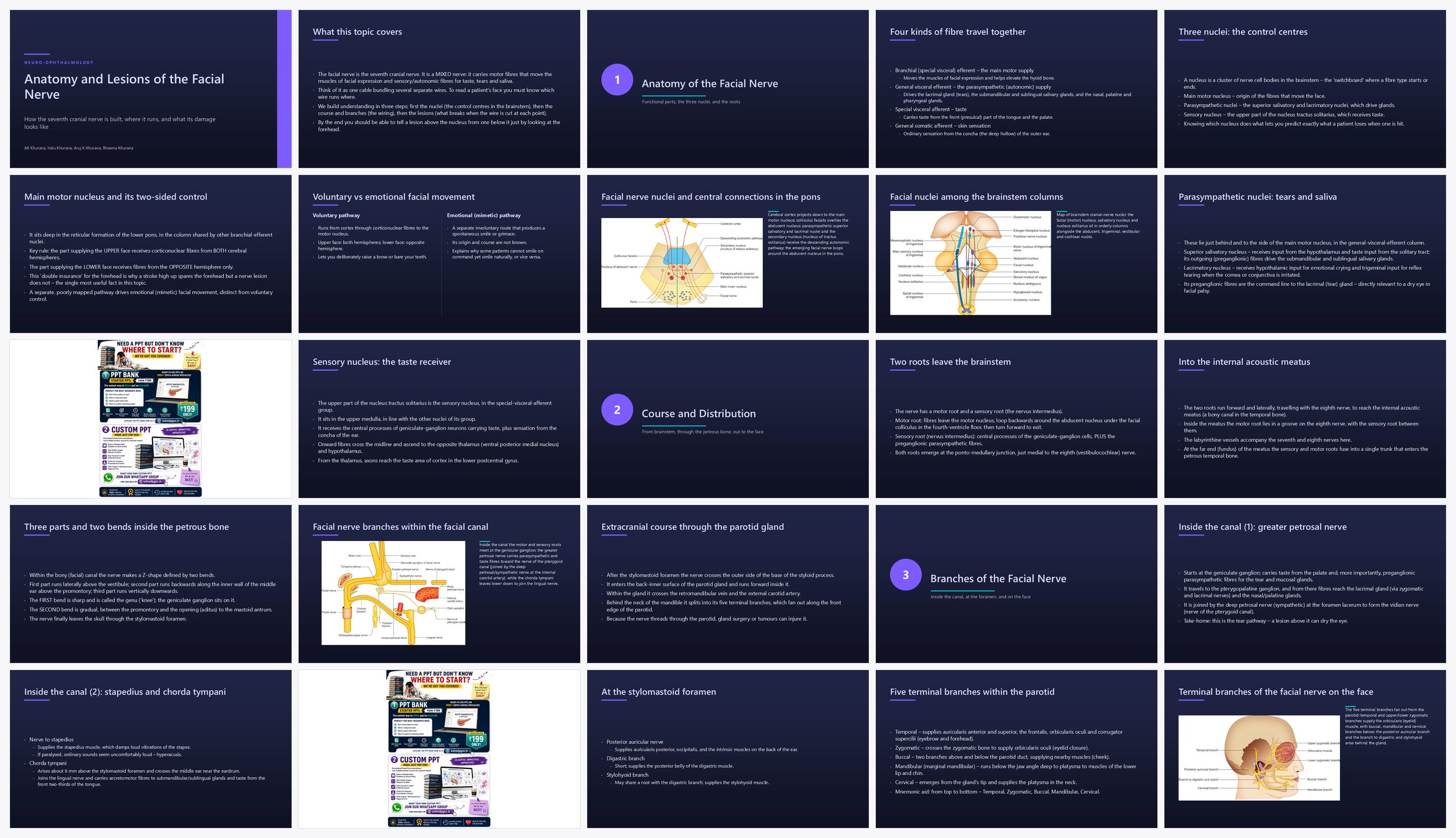Preview of the first 25 slides of Anatomy and Lesions of Facial Nerve