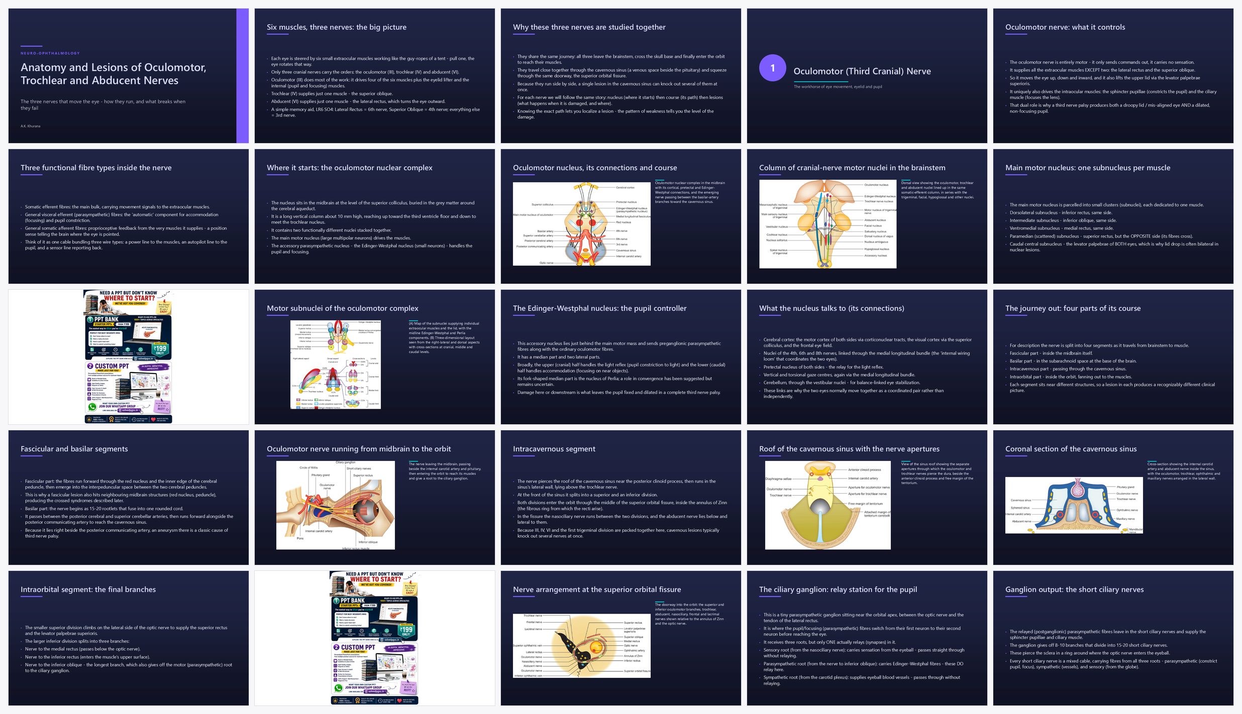 Preview of the first 25 slides of Anatomy and Lesions of Oculomotor Trochlear and Abducent N