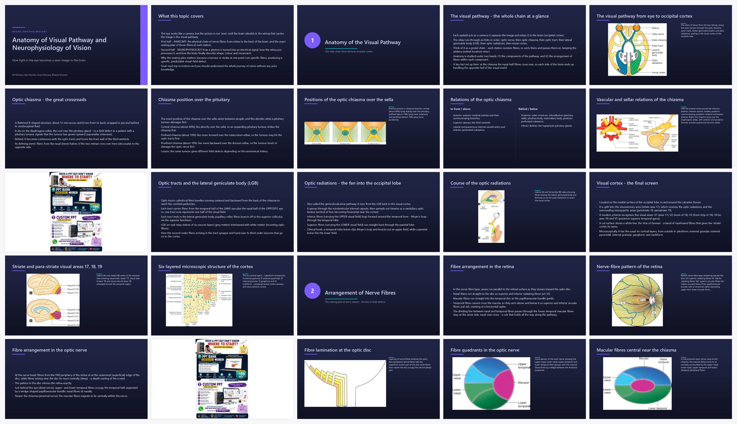 Preview of the first 25 slides of Anatomy of Visual Pathway and Neurophysiology of Vision