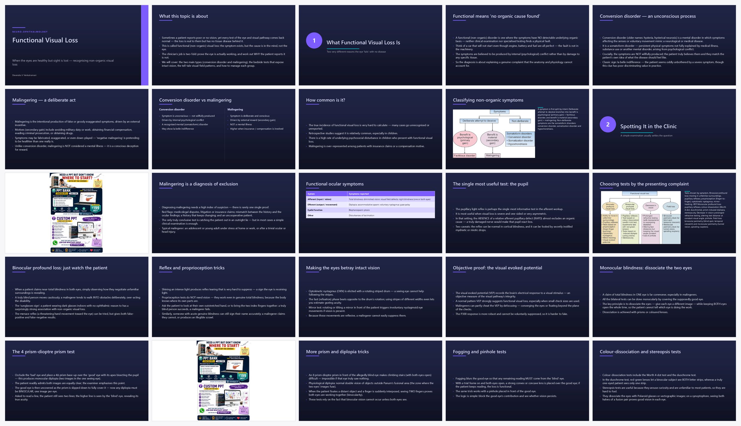 Preview of the first 25 slides of Functional Visual Loss