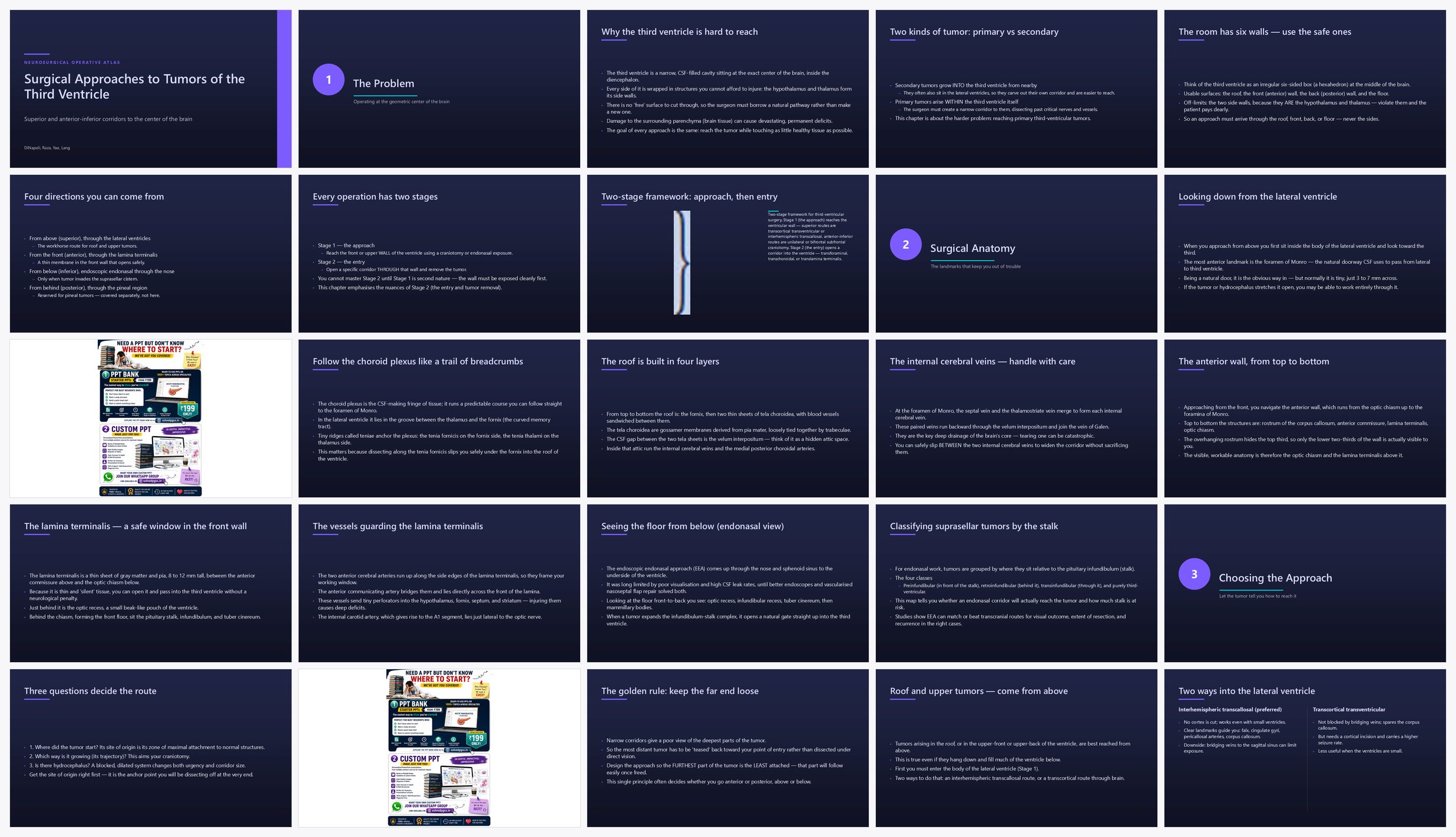 Preview of the first 25 slides of Surgical Approaches to Tumors of the Third Ventricle