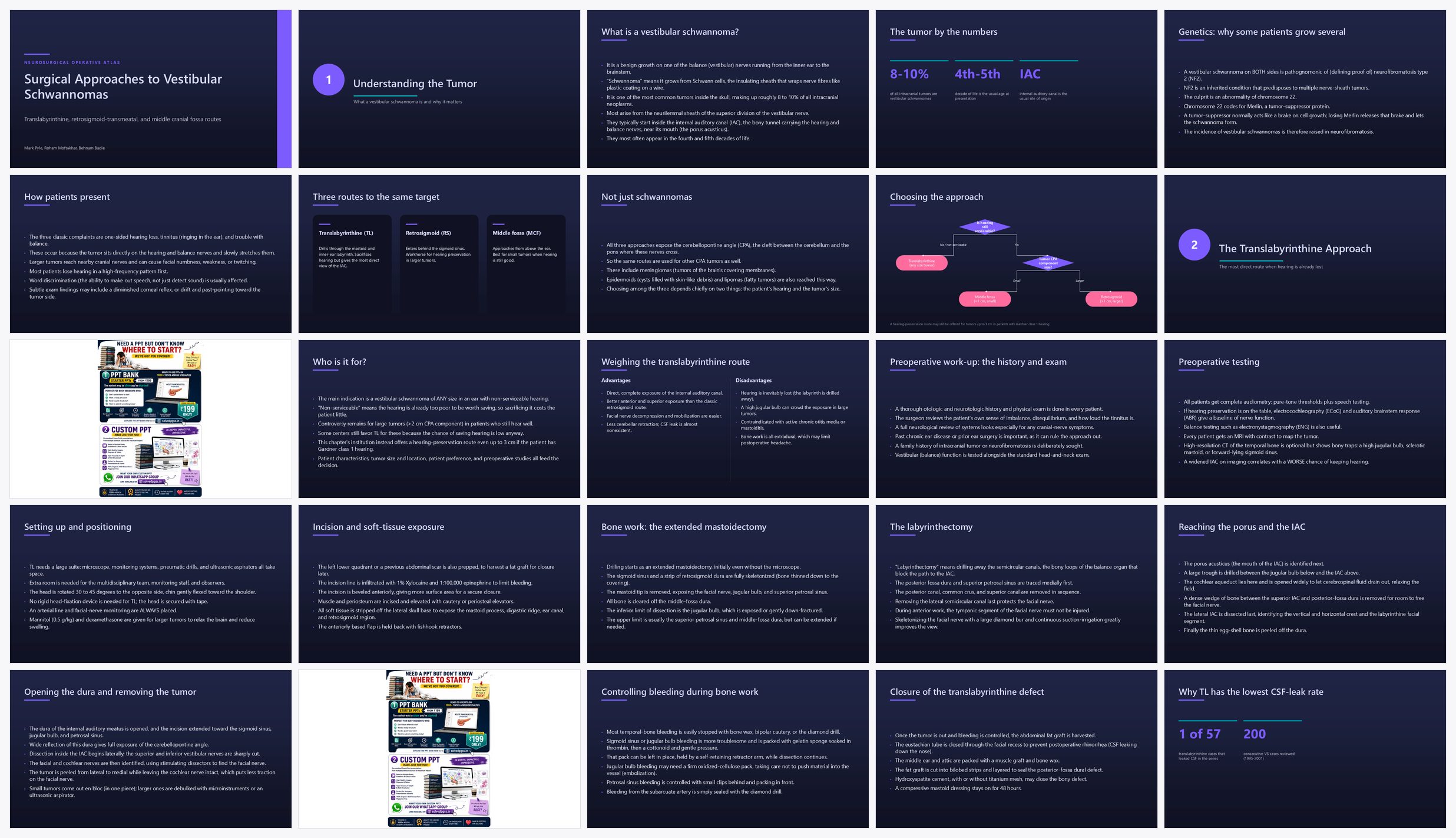 Preview of the first 25 slides of Surgical Approaches to Vestibular Schwannomas