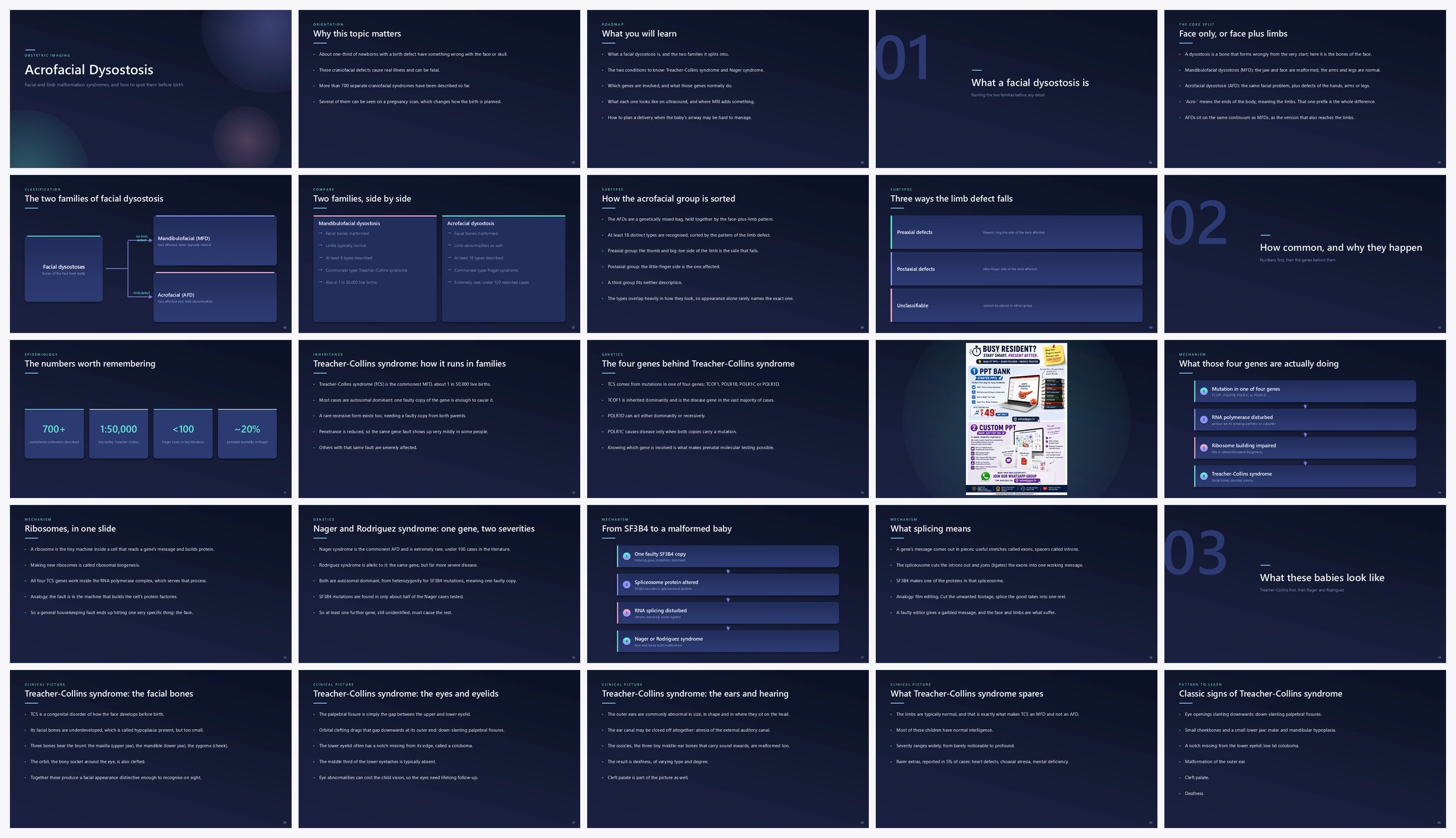 Preview of the first 25 slides of Acrofacial Dysostosis