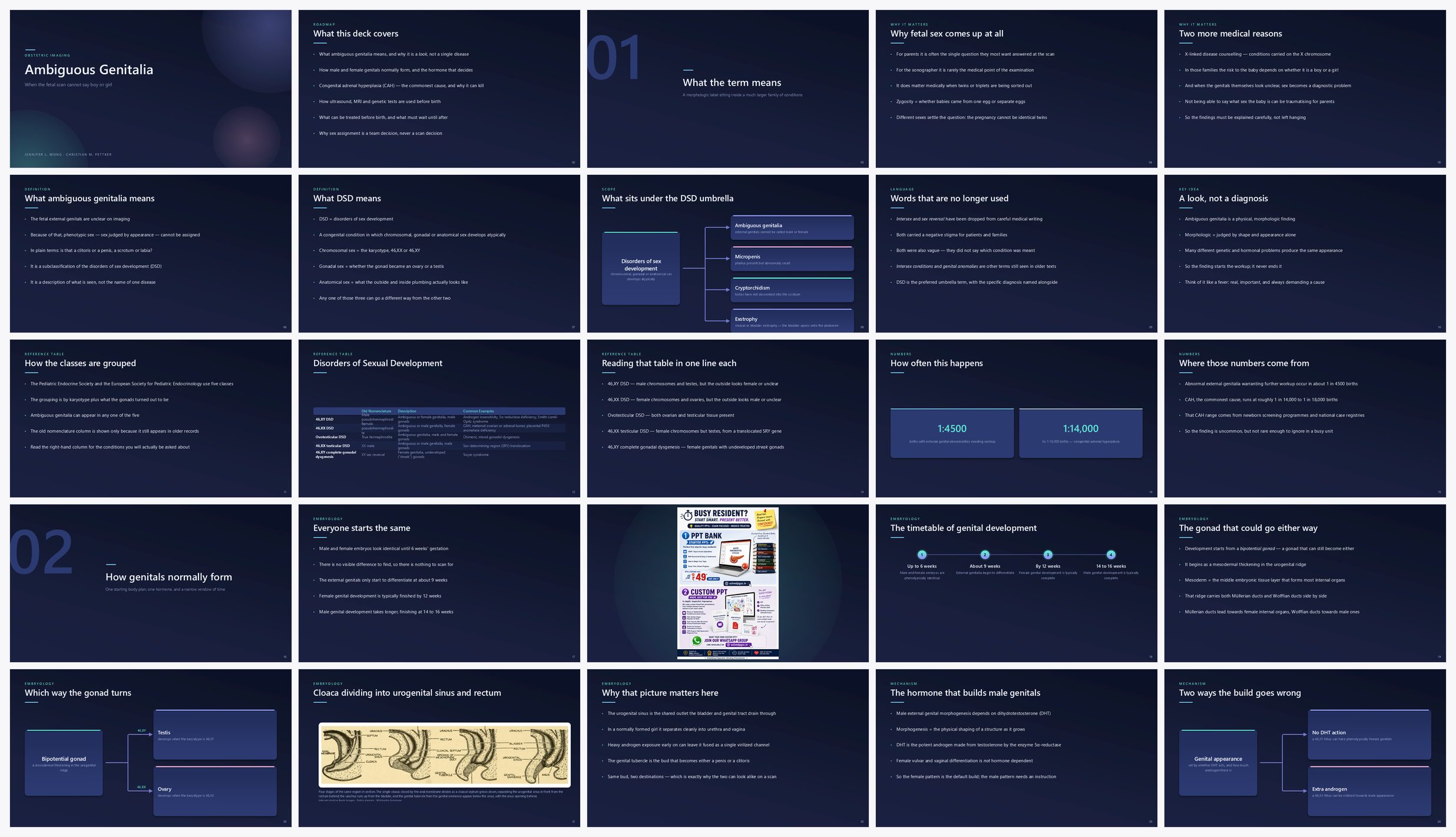 Preview of the first 25 slides of Ambiguous Genitalia