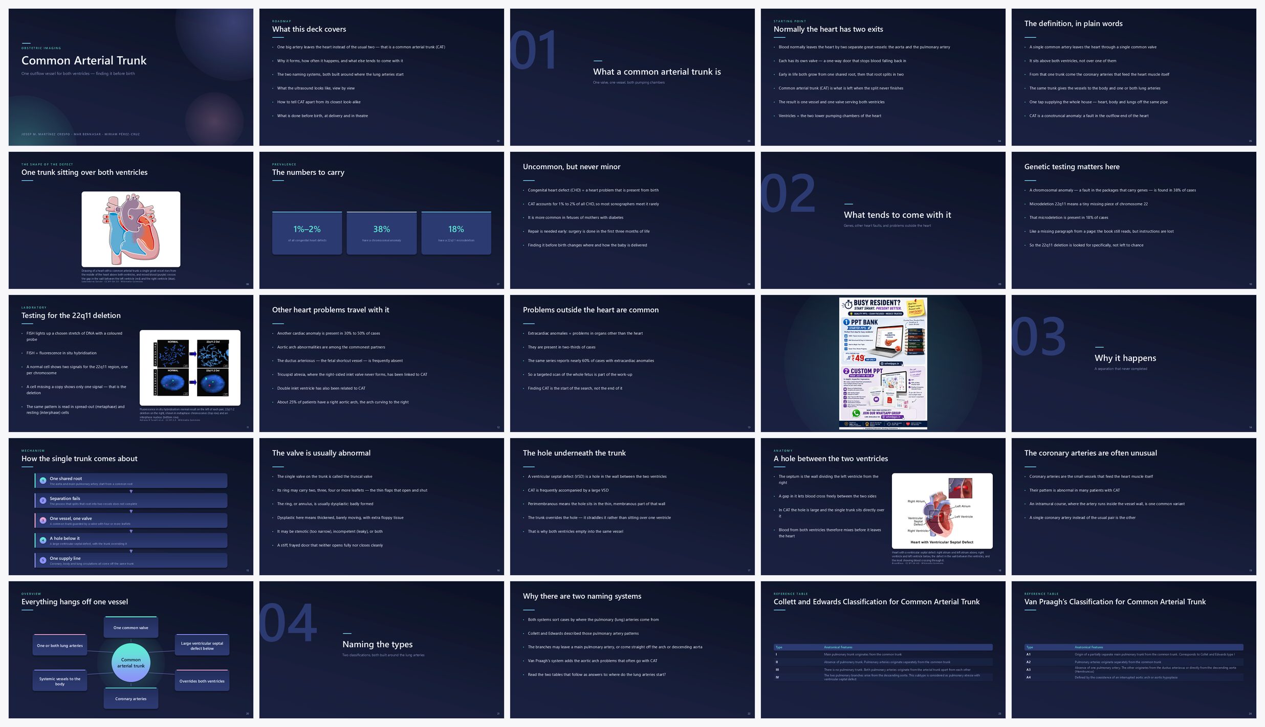 Preview of the first 25 slides of Common Arterial Trunk