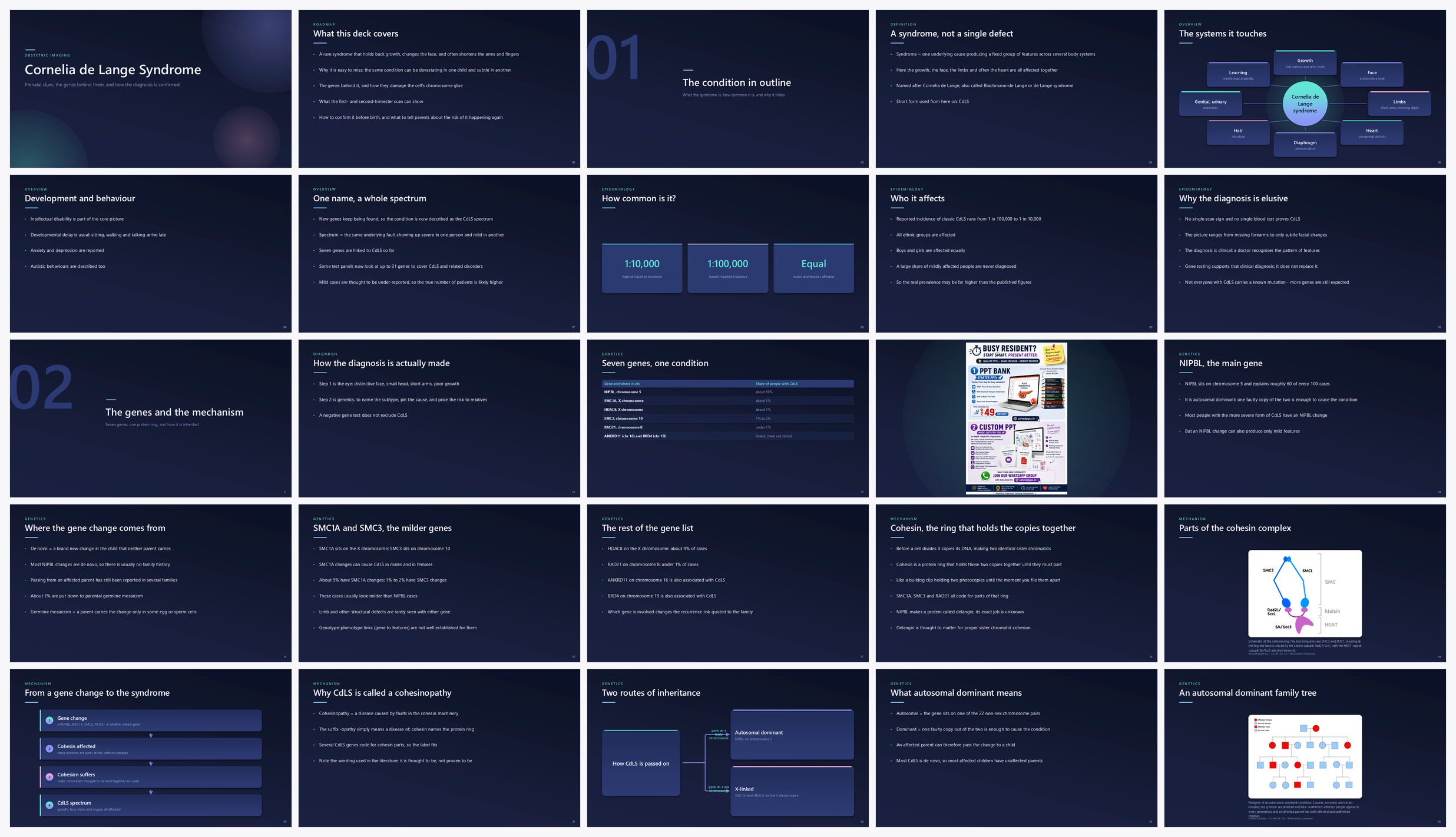 Preview of the first 25 slides of Cornelia de Lange Syndrome