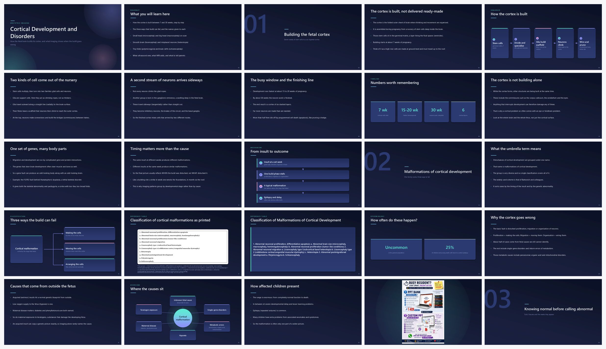 Preview of the first 25 slides of Cortical Development and Disorders