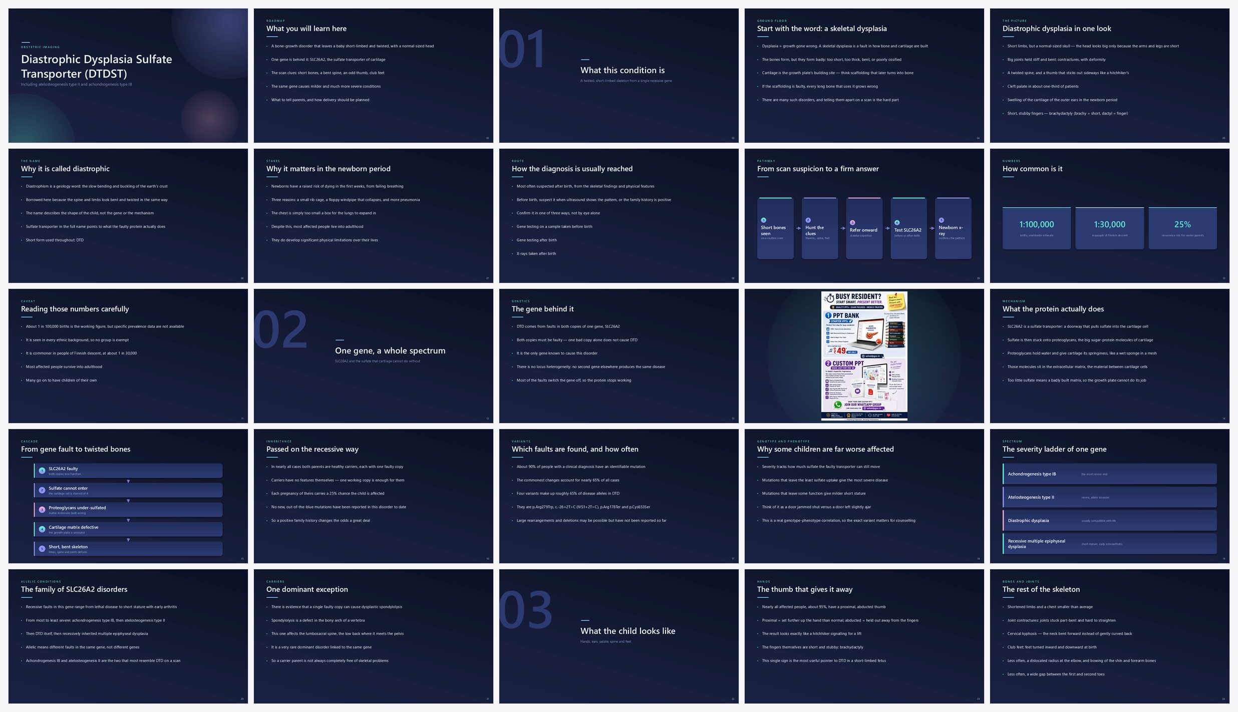 Preview of the first 25 slides of Diastrophic Dysplasia Sulfate Transporter (DTDST) (Including AOII and Achondrogenesis IB)