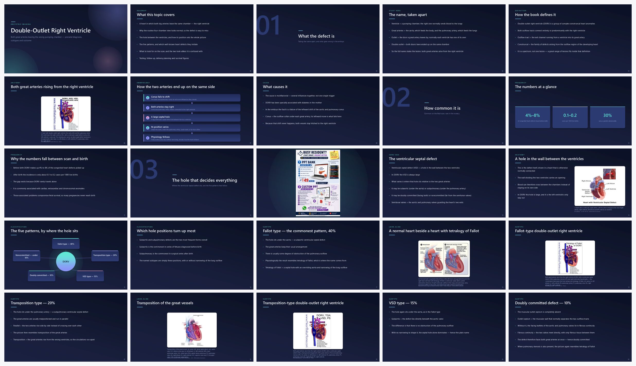 Preview of the first 25 slides of Double-Outlet Right Ventricle