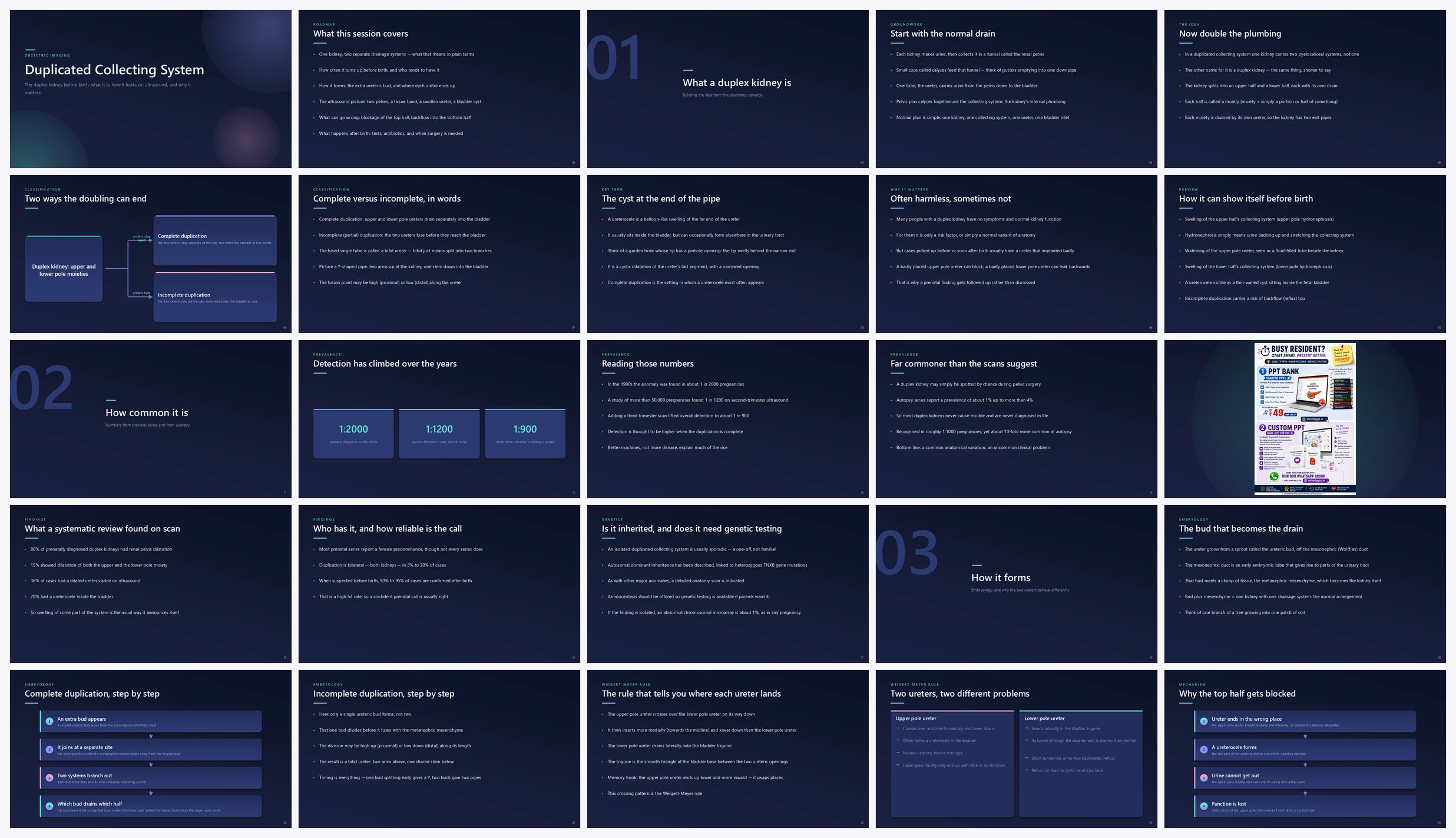 Preview of the first 25 slides of Duplicated Collecting System
