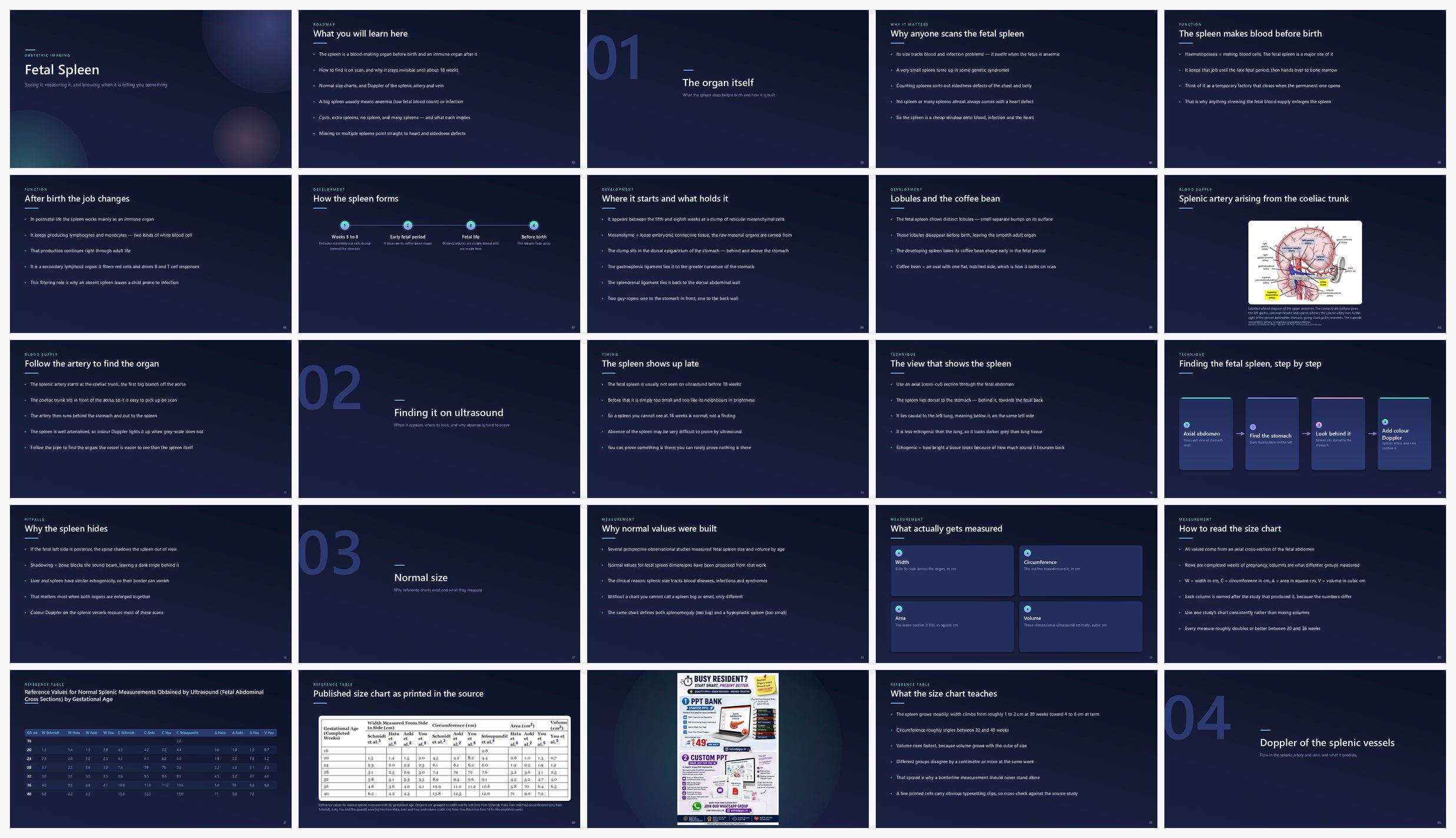 Preview of the first 25 slides of Fetal Spleen