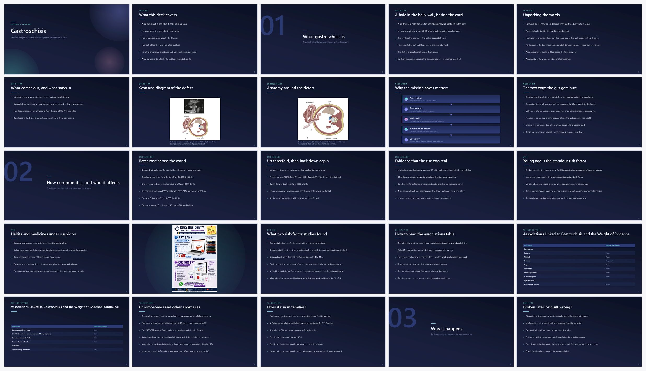 Preview of the first 25 slides of Gastroschisis