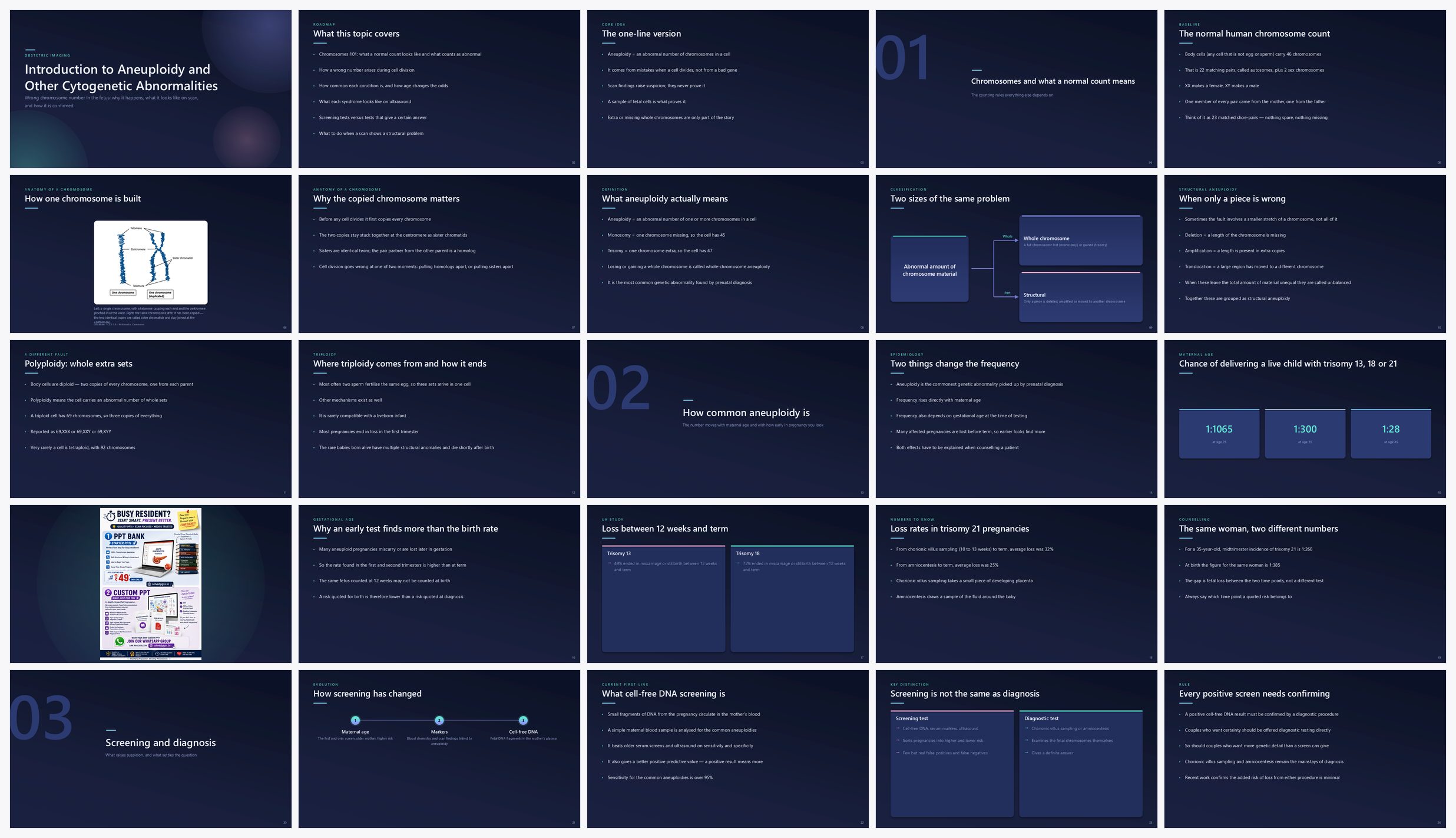 Preview of the first 25 slides of Introduction to Aneuploidy and Other Cytogenetic Abnormalities