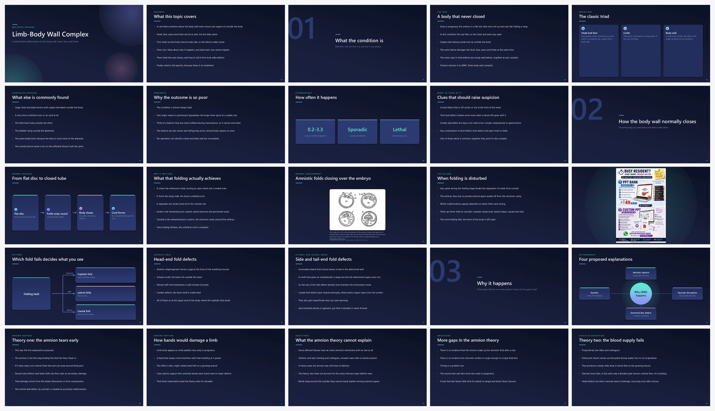 Preview of the first 25 slides of Limb-Body Wall Complex