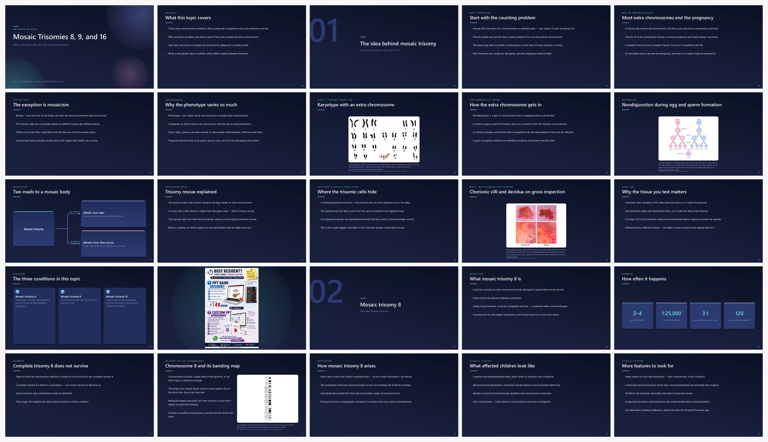 Preview of the first 25 slides of Mosaic Trisomies 8, 9, and 16