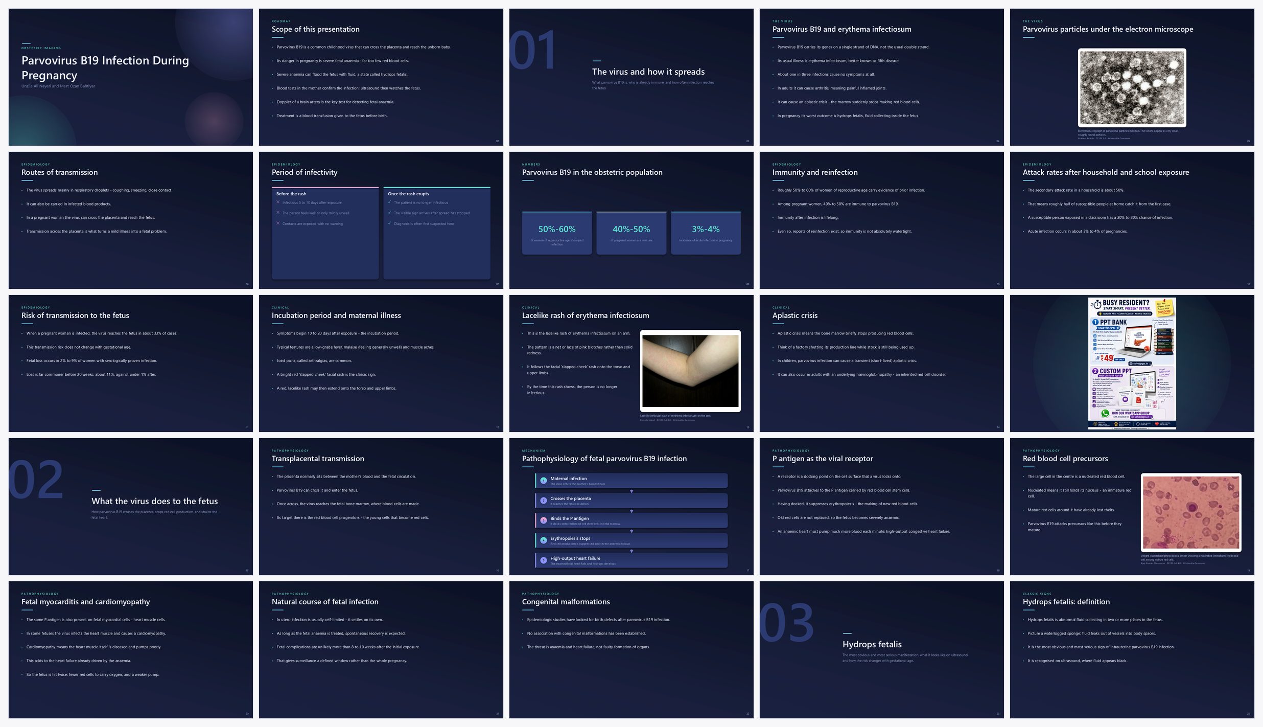 Preview of the first 25 slides of Parvovirus B19 Infection During Pregnancy