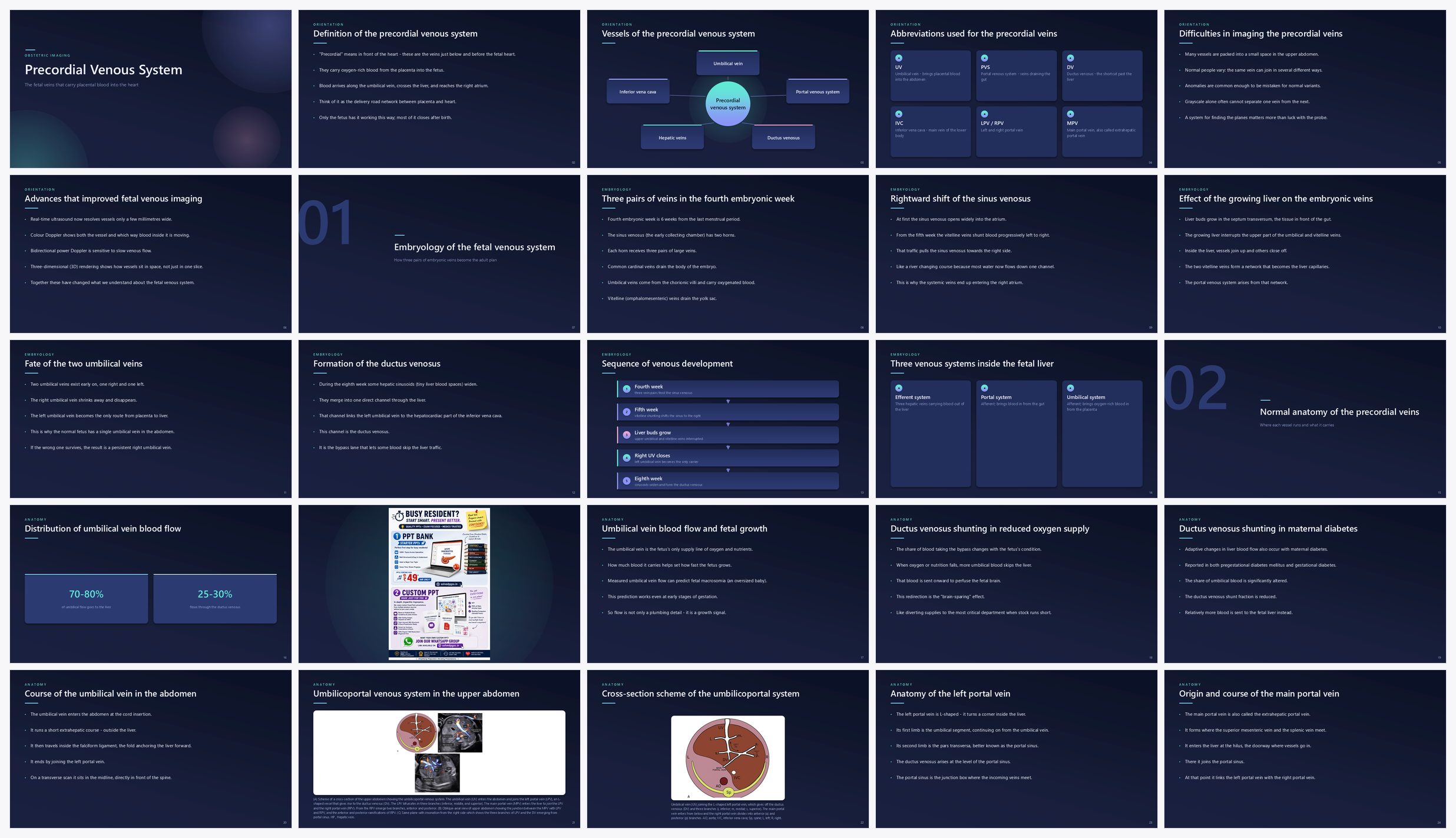 Preview of the first 25 slides of Precordial Venous System