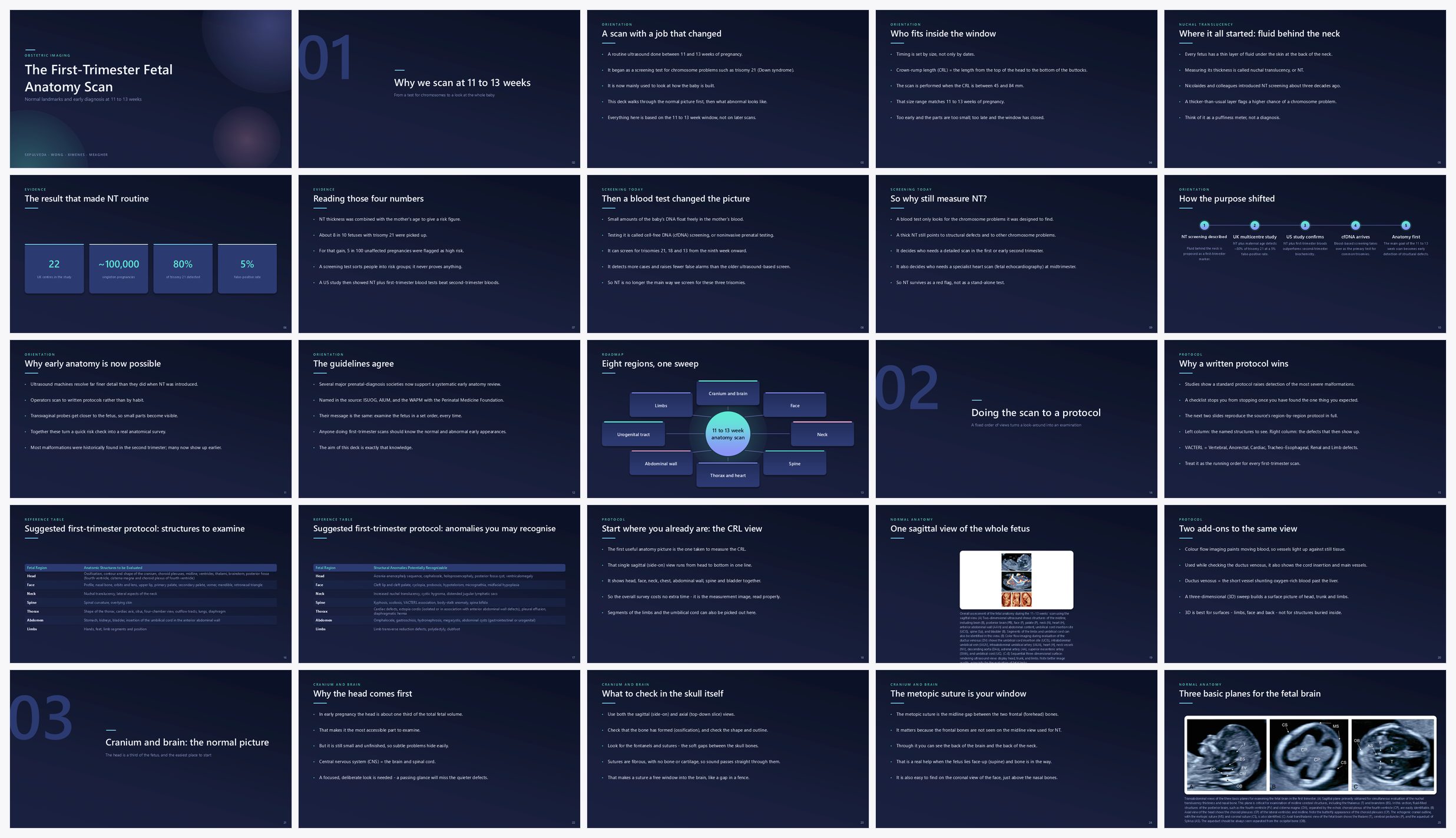 Preview of the first 25 slides of The First-Trimester Fetal Anatomy Scan