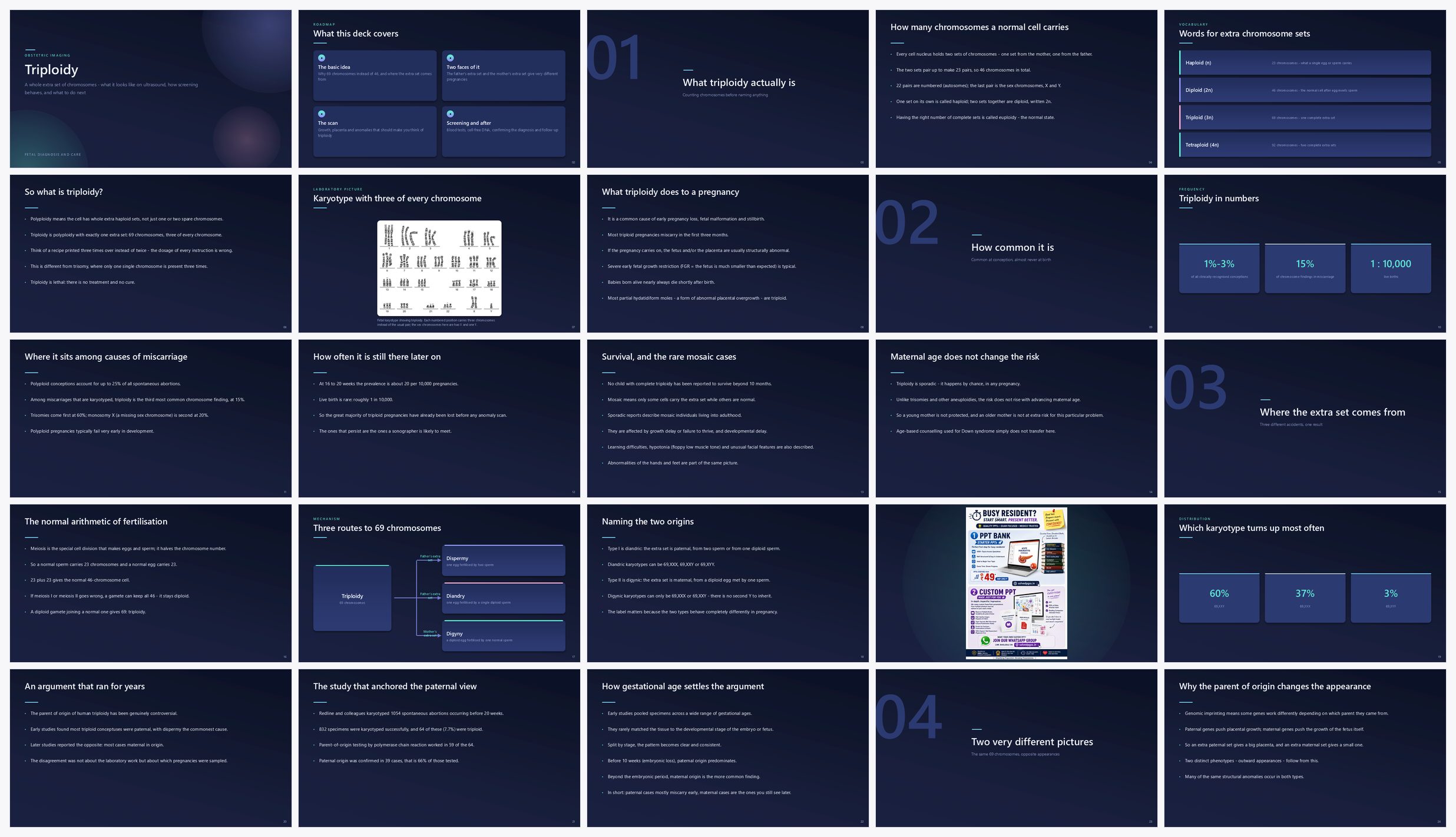 Preview of the first 25 slides of Triploidy