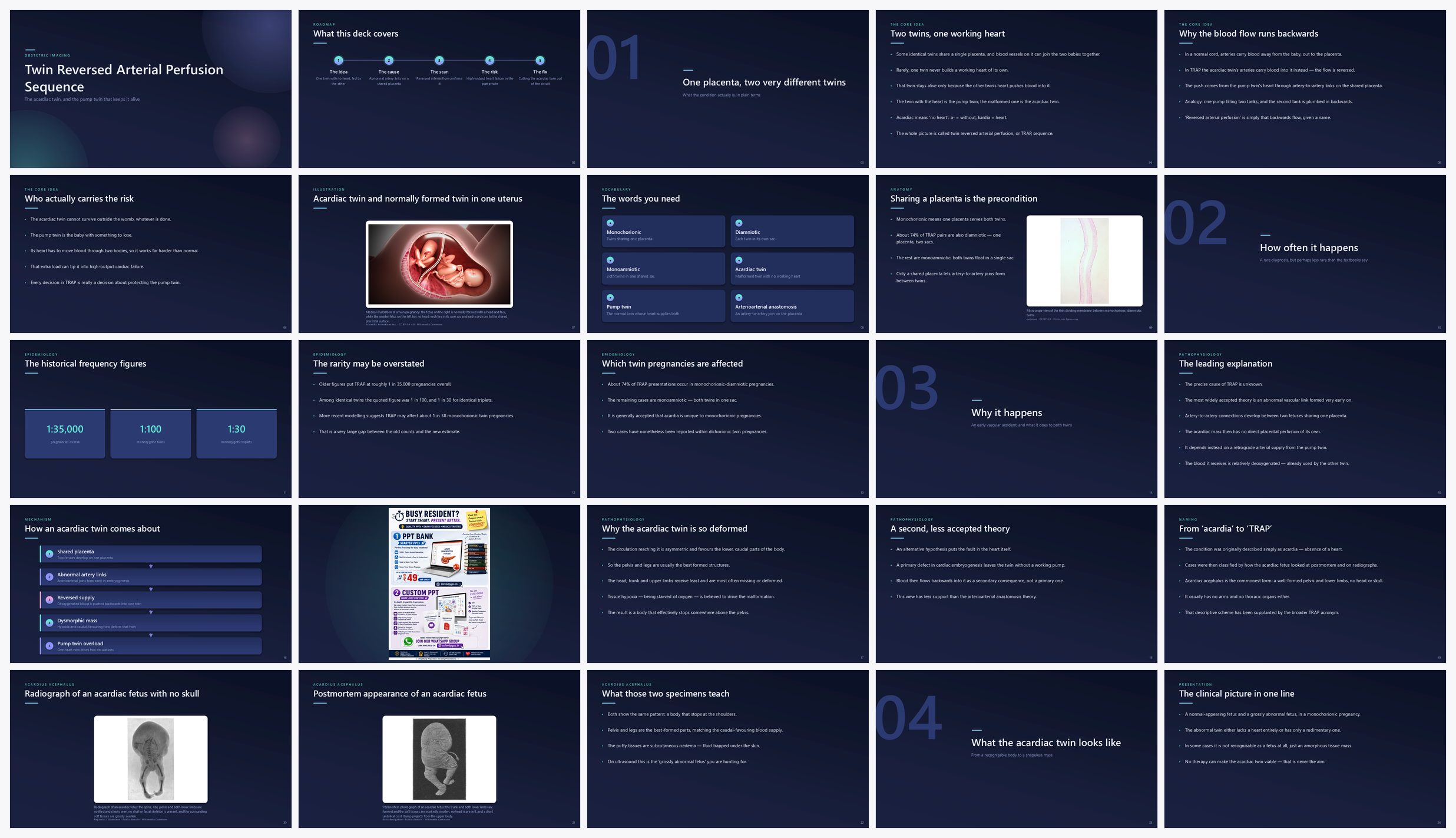 Preview of the first 25 slides of Twin Reversed Arterial Perfusion Sequence