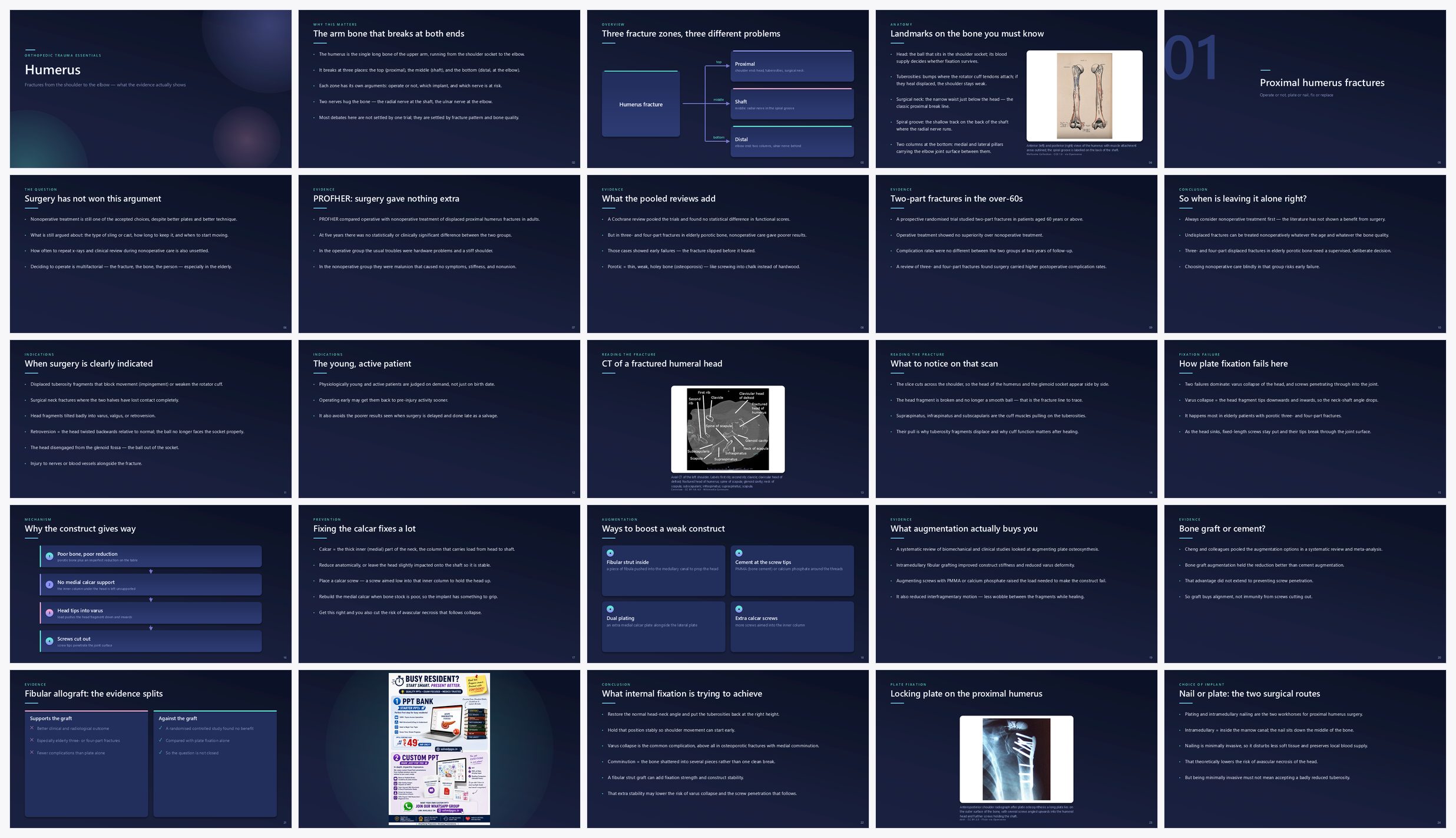 Preview of the first 25 slides of Humerus