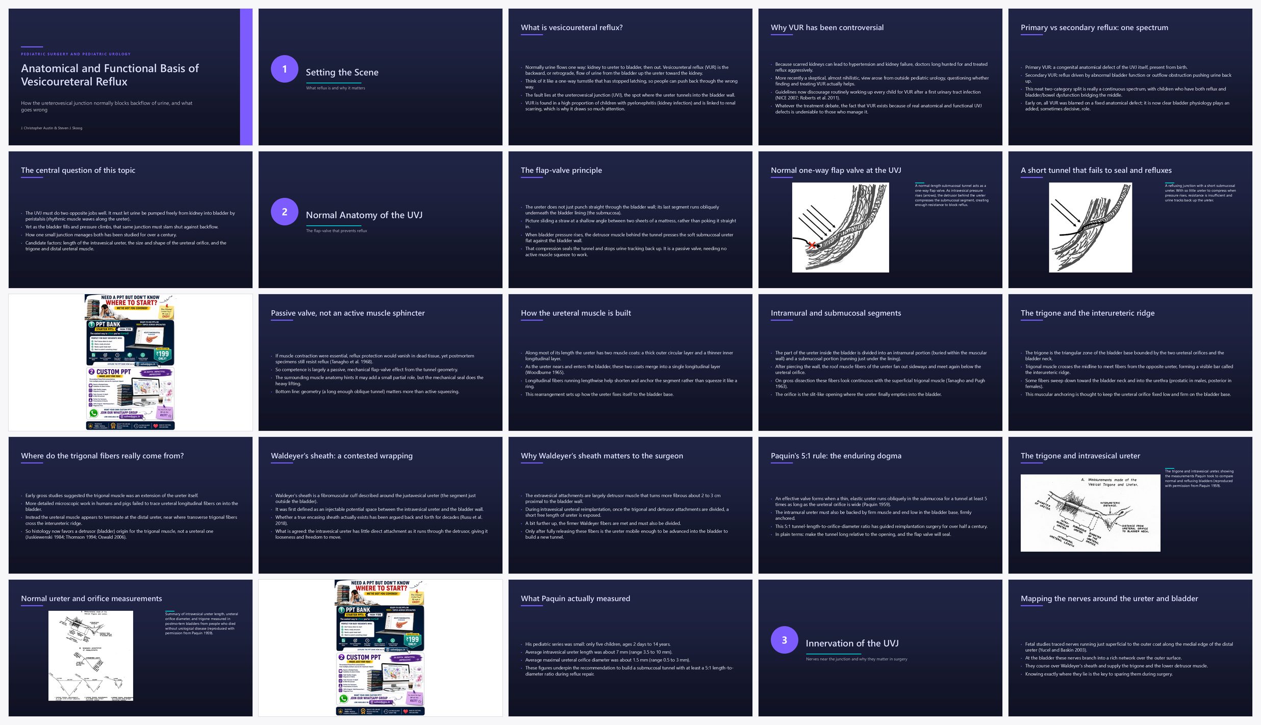 Preview of the first 25 slides of Anatomical and Functional Basis of Vesicoureteral Reflux