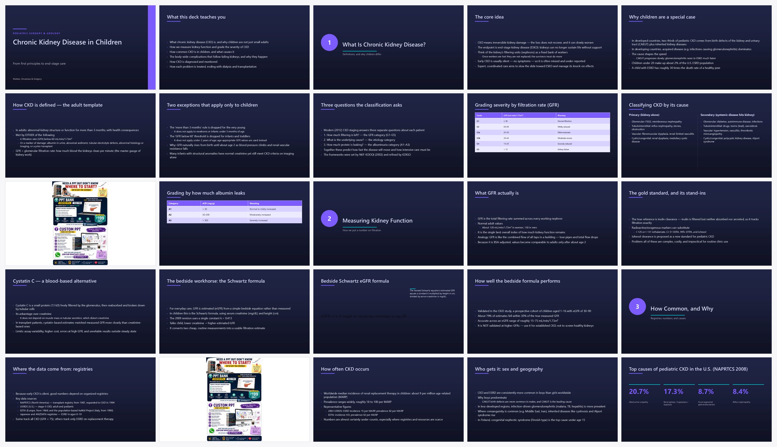 Preview of the first 25 slides of Chronic Kidney Disease