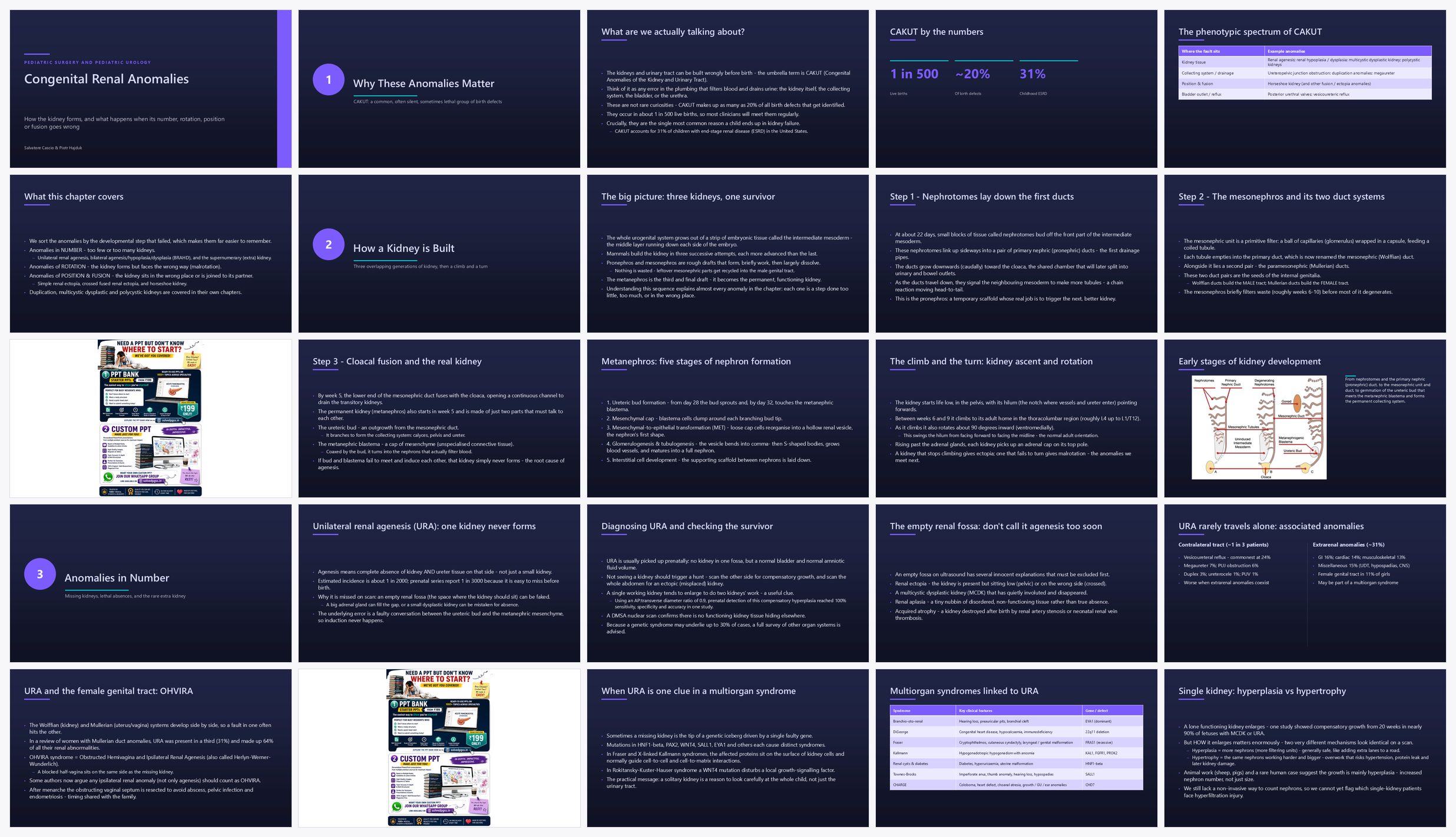 Preview of the first 25 slides of Congenital Renal Anomalies