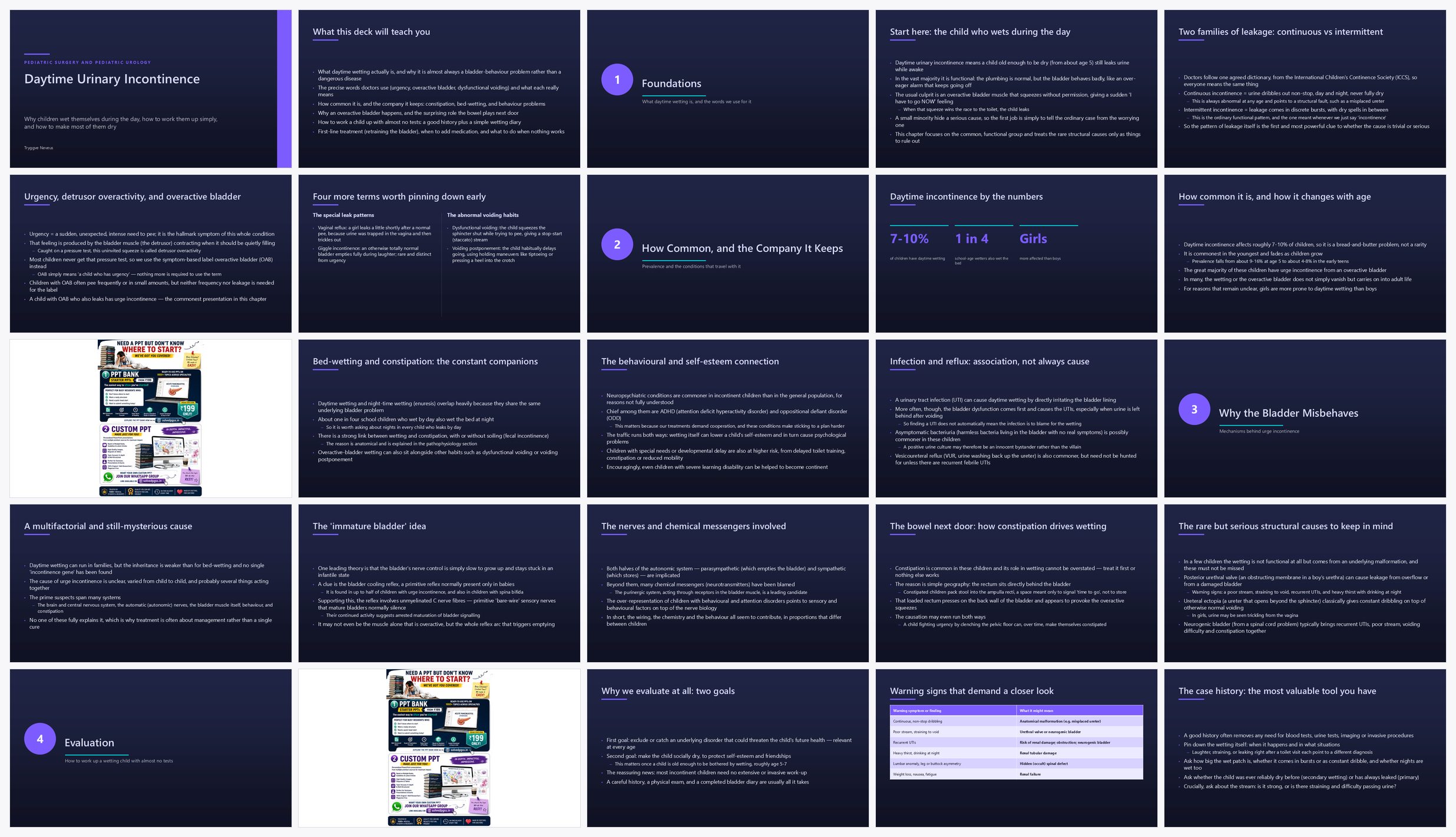 Preview of the first 25 slides of Daytime Urinary Incontinence