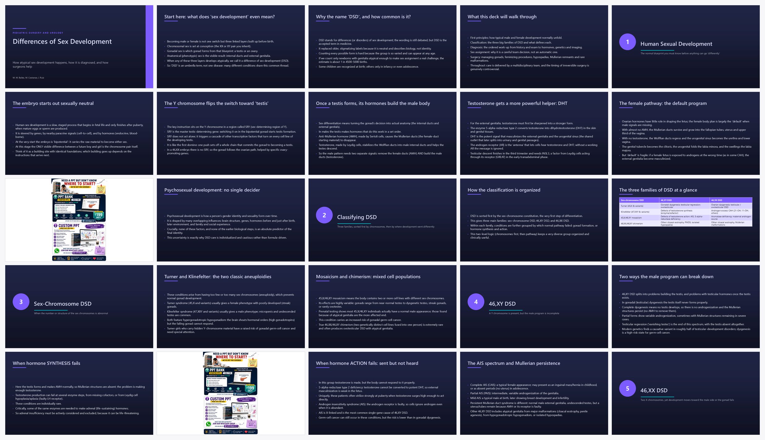 Preview of the first 25 slides of Different Sexual Development