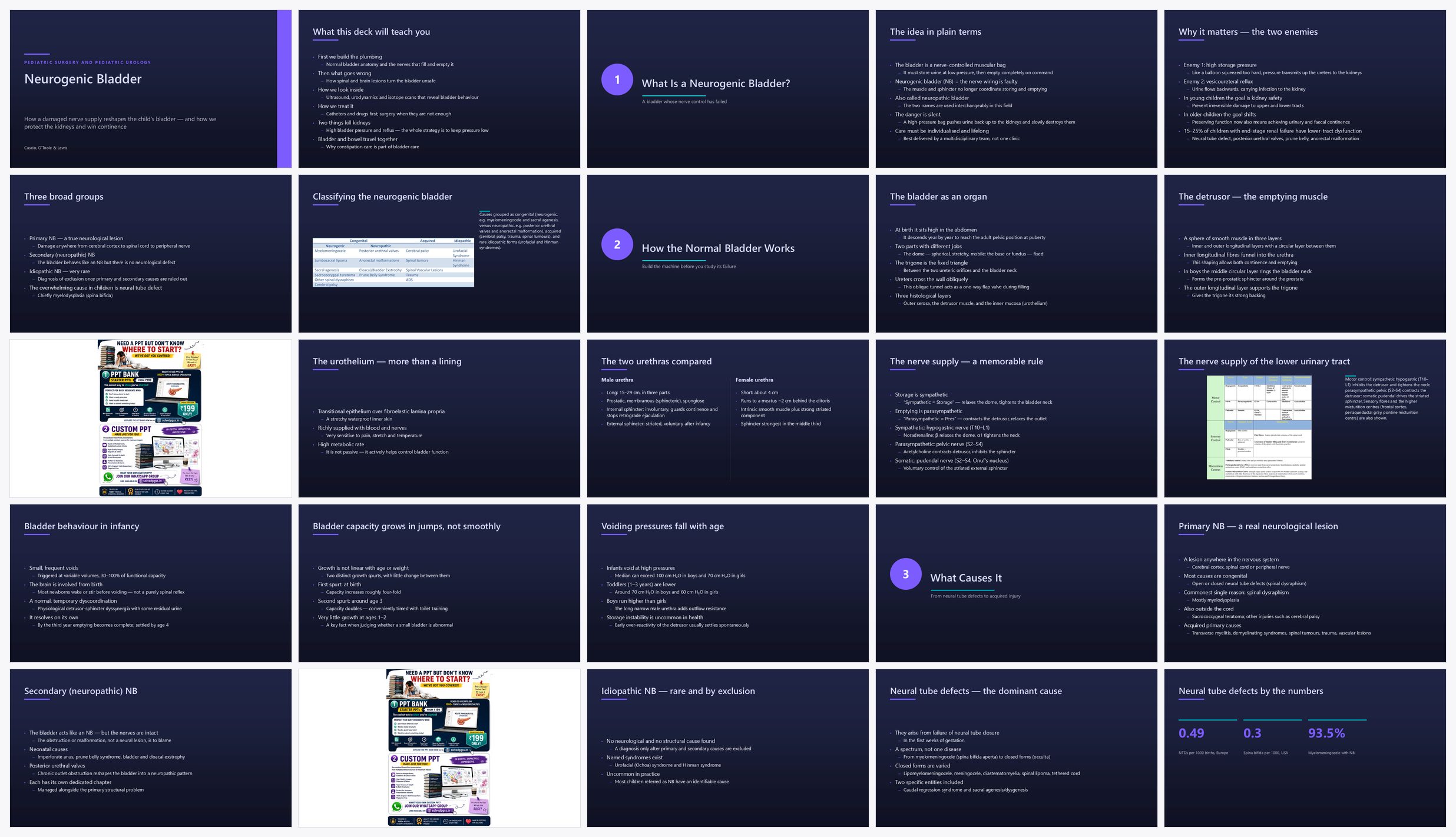 Preview of the first 25 slides of Neurogenic Bladder