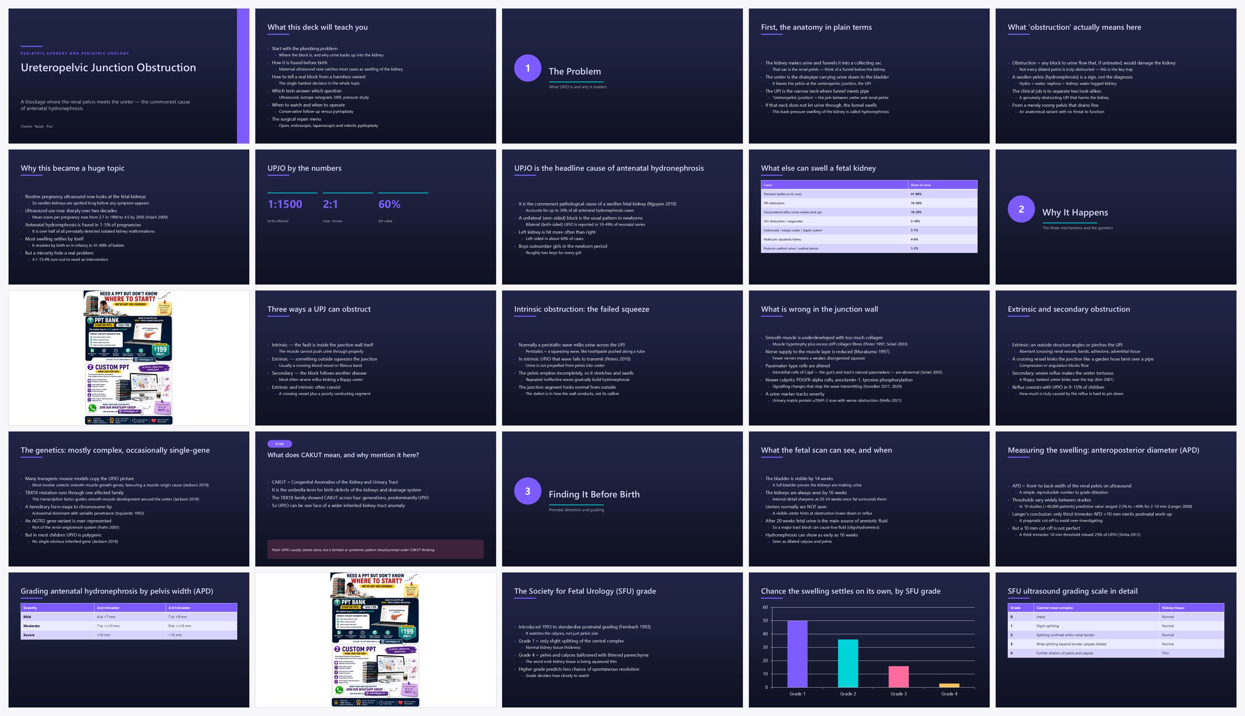 Preview of the first 25 slides of Ureteropelvic Junction Obstruction