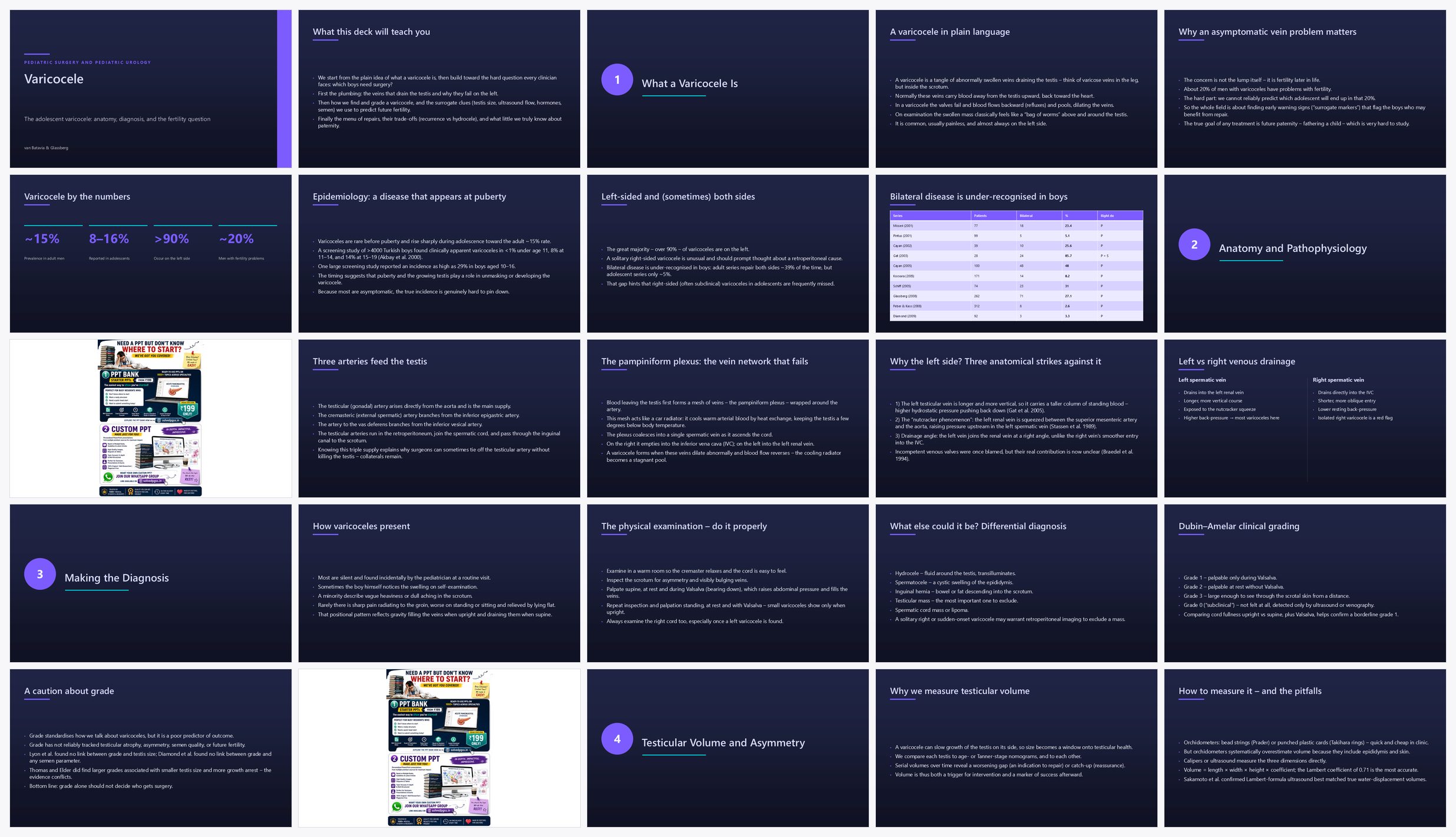 Preview of the first 25 slides of Varicocele