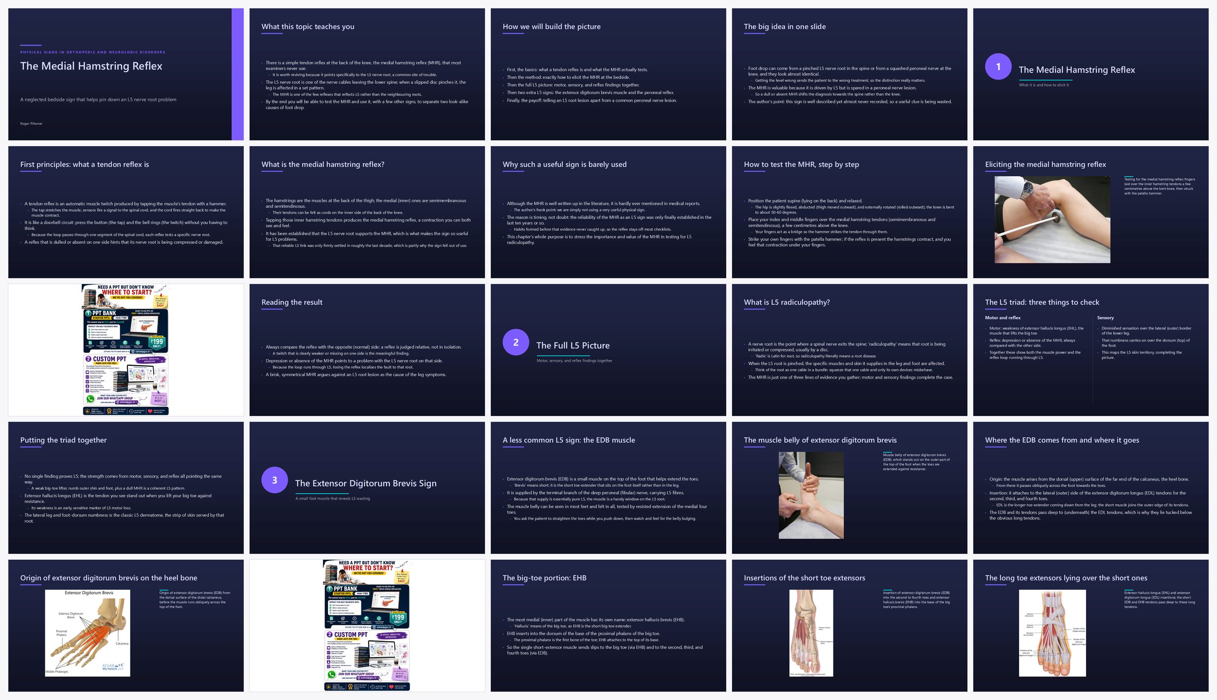 Preview of the first 25 slides of Medial Hamstring Reflex MHR